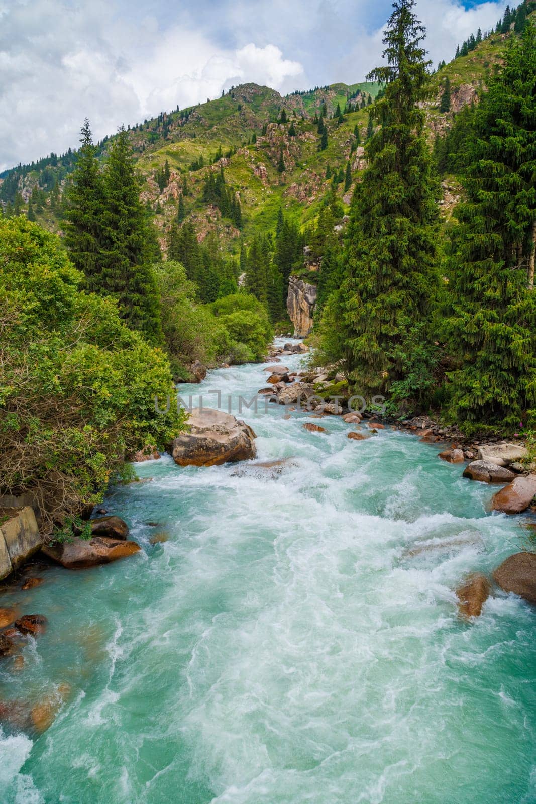 rainy weather summer mountain river landscape with spruce forest on sides