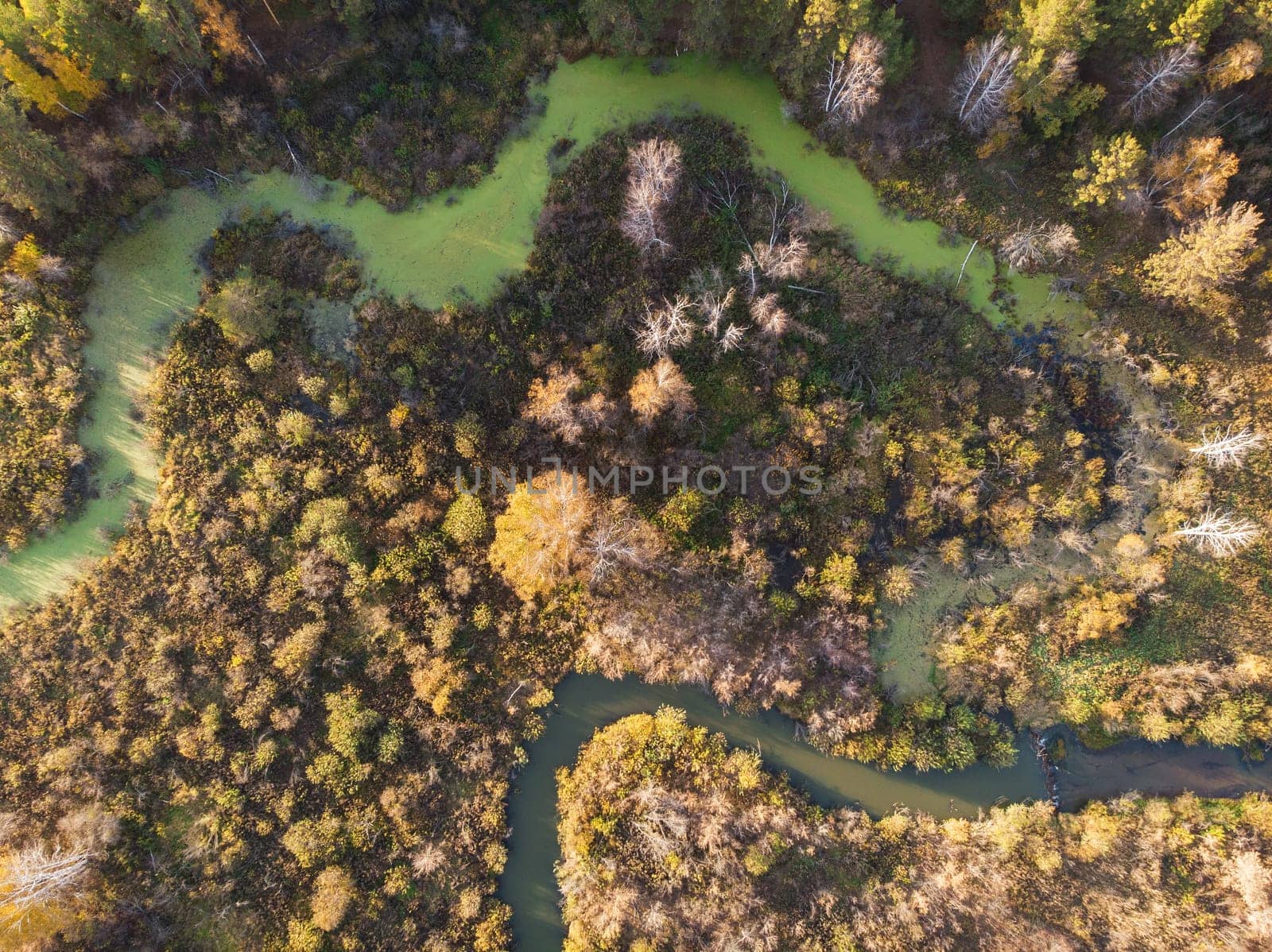 Aerial drone view of autumn landscape with river.