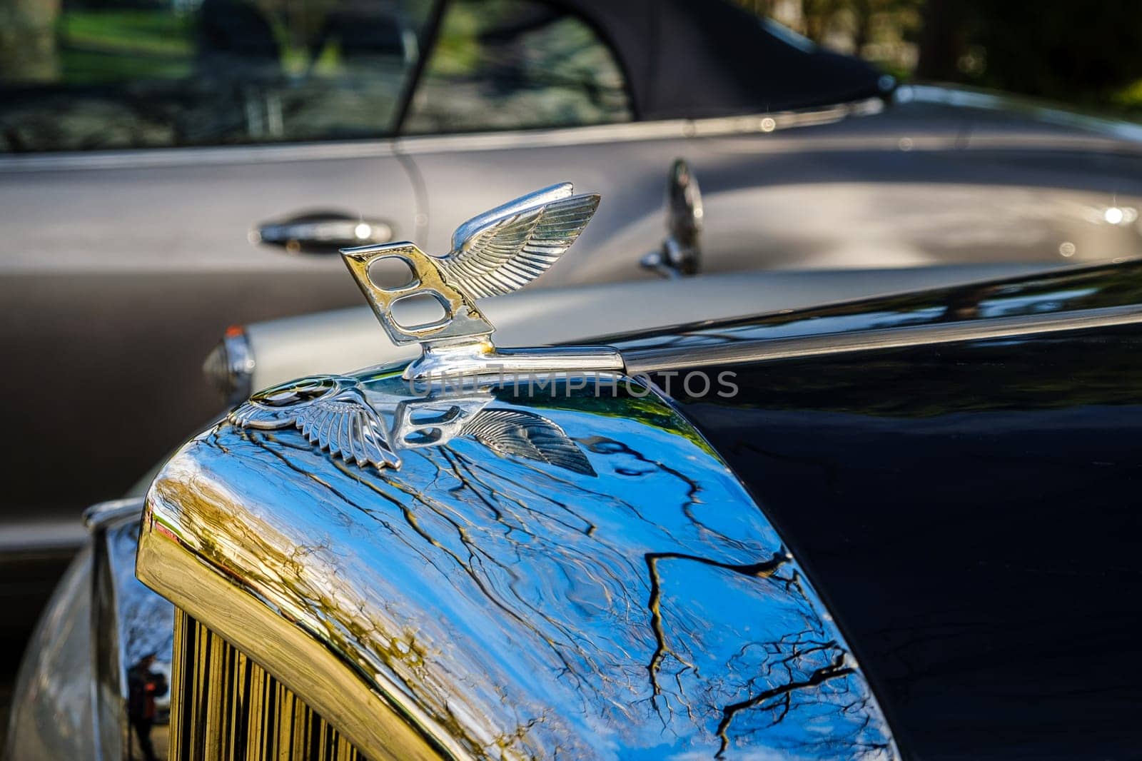 Lisbon, Portugal - Jan 20, 2024: Close-up and selective focus on the Bentley Wings Flying B mascot hood ornament or bonnet badge from 1950s and 1960s against other car background.
