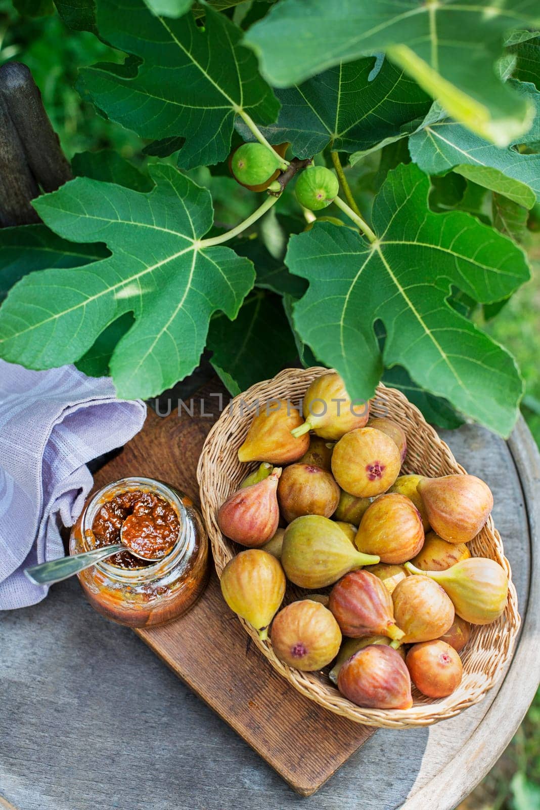 Glass jar with tasty sweet jam with fresh figs growing on the branch fig tree in organic home orchard.