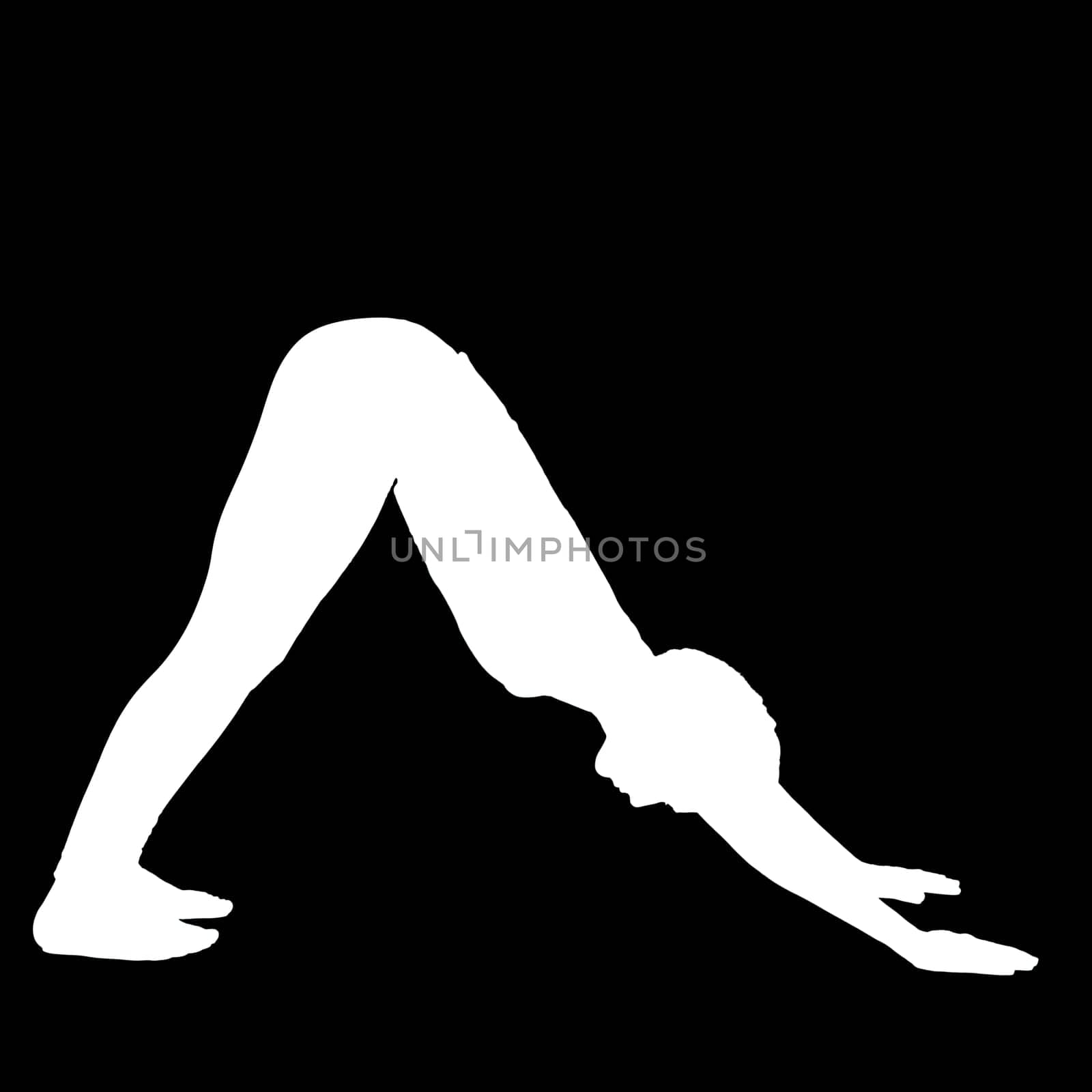 Negative silhouette of a female person performing the yoga exercise Downward Facing Dog Adho Mukha Scanasana.