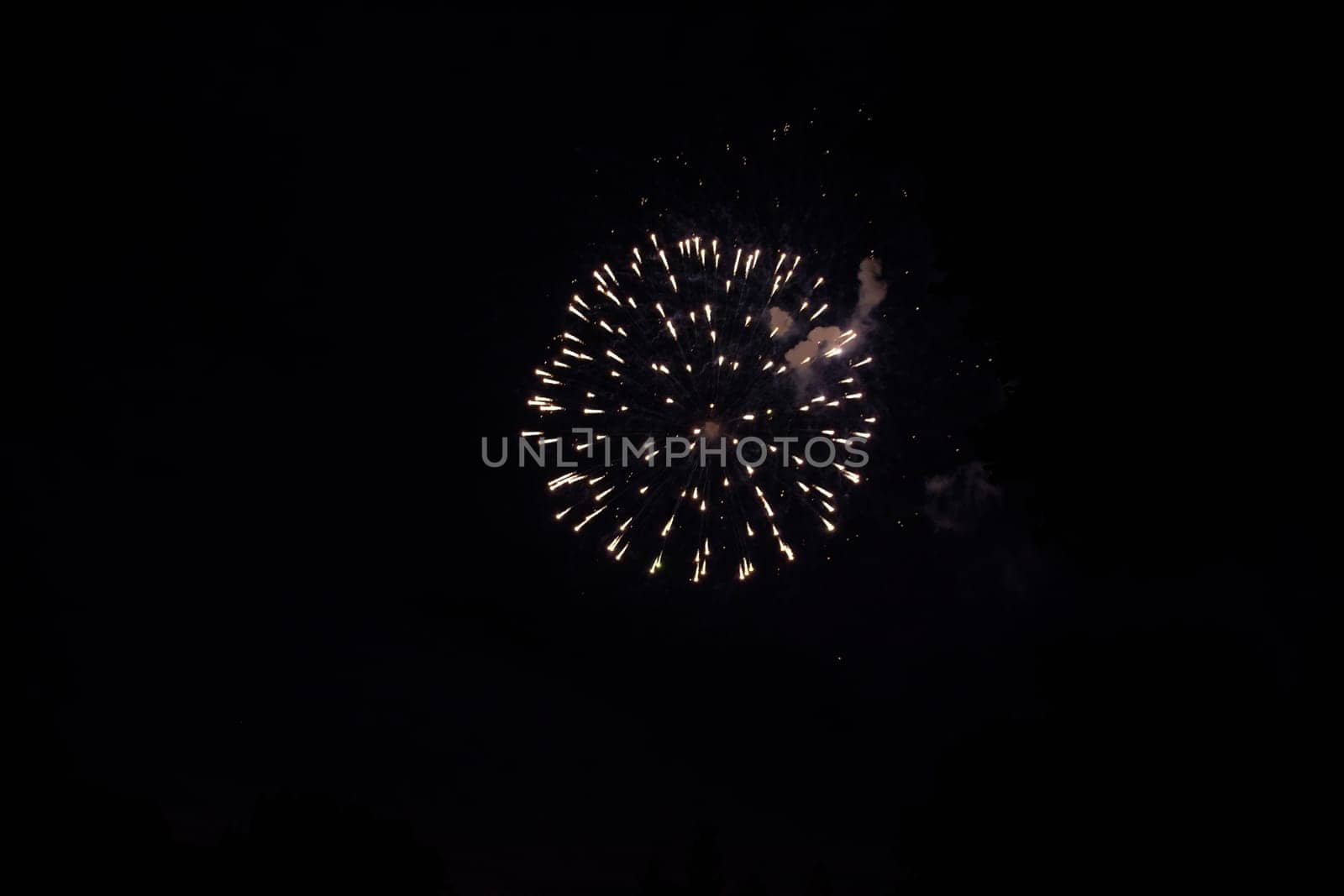 A colorful fireworks in the black night sky