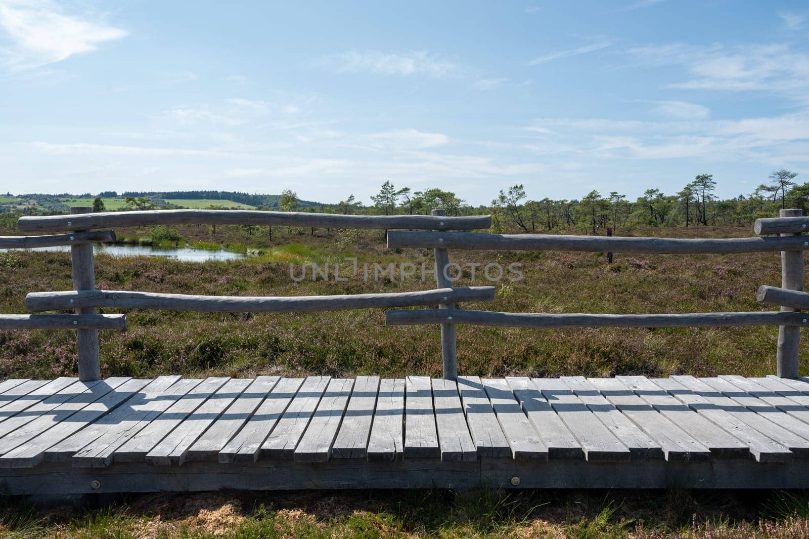 Black moor in the Rhoen, Bavaria, Germany, in summer  with Heather and  a new moor path
