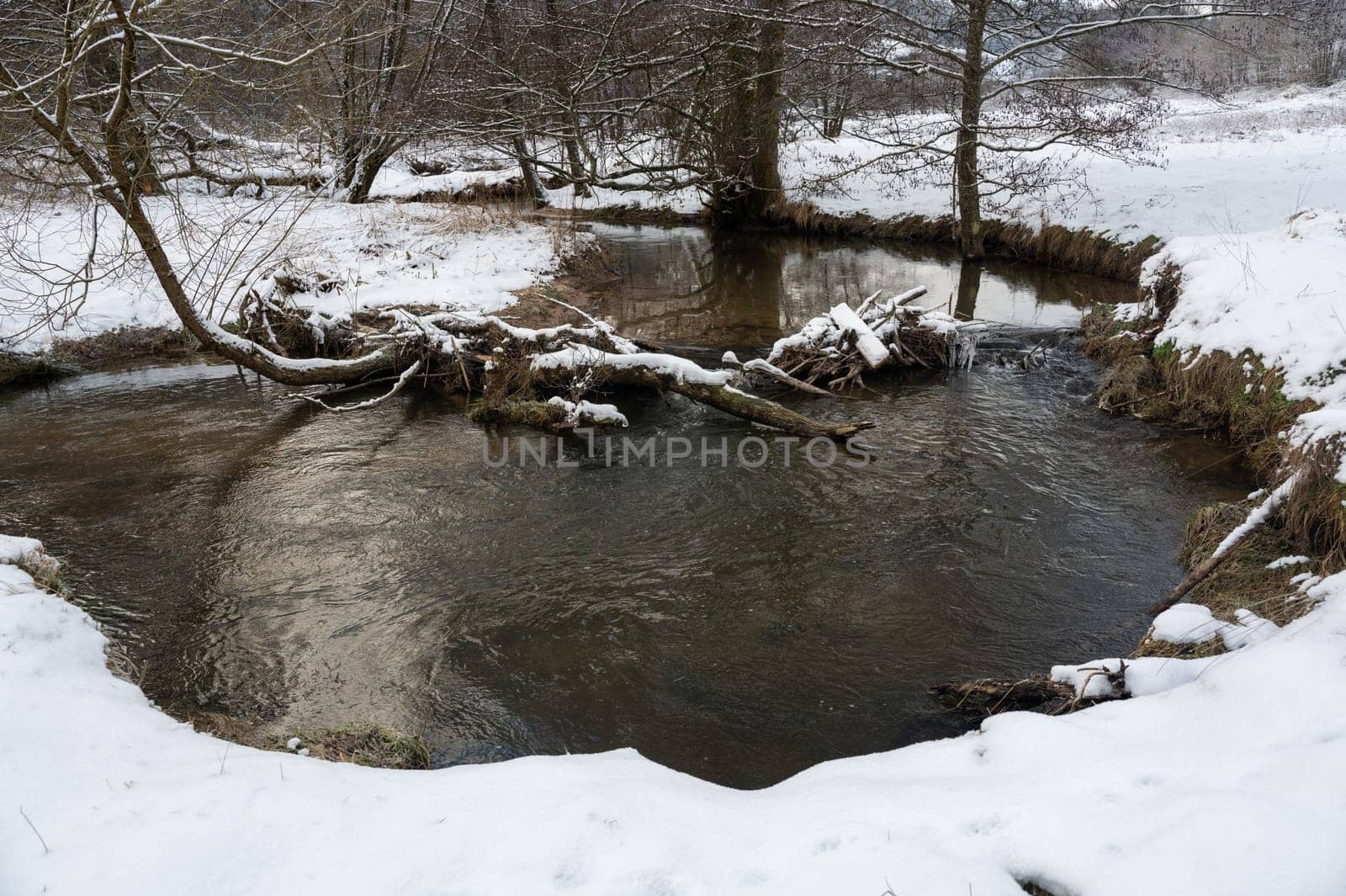 Little Dam built by beavers, damming a small body of water with wood and  snow