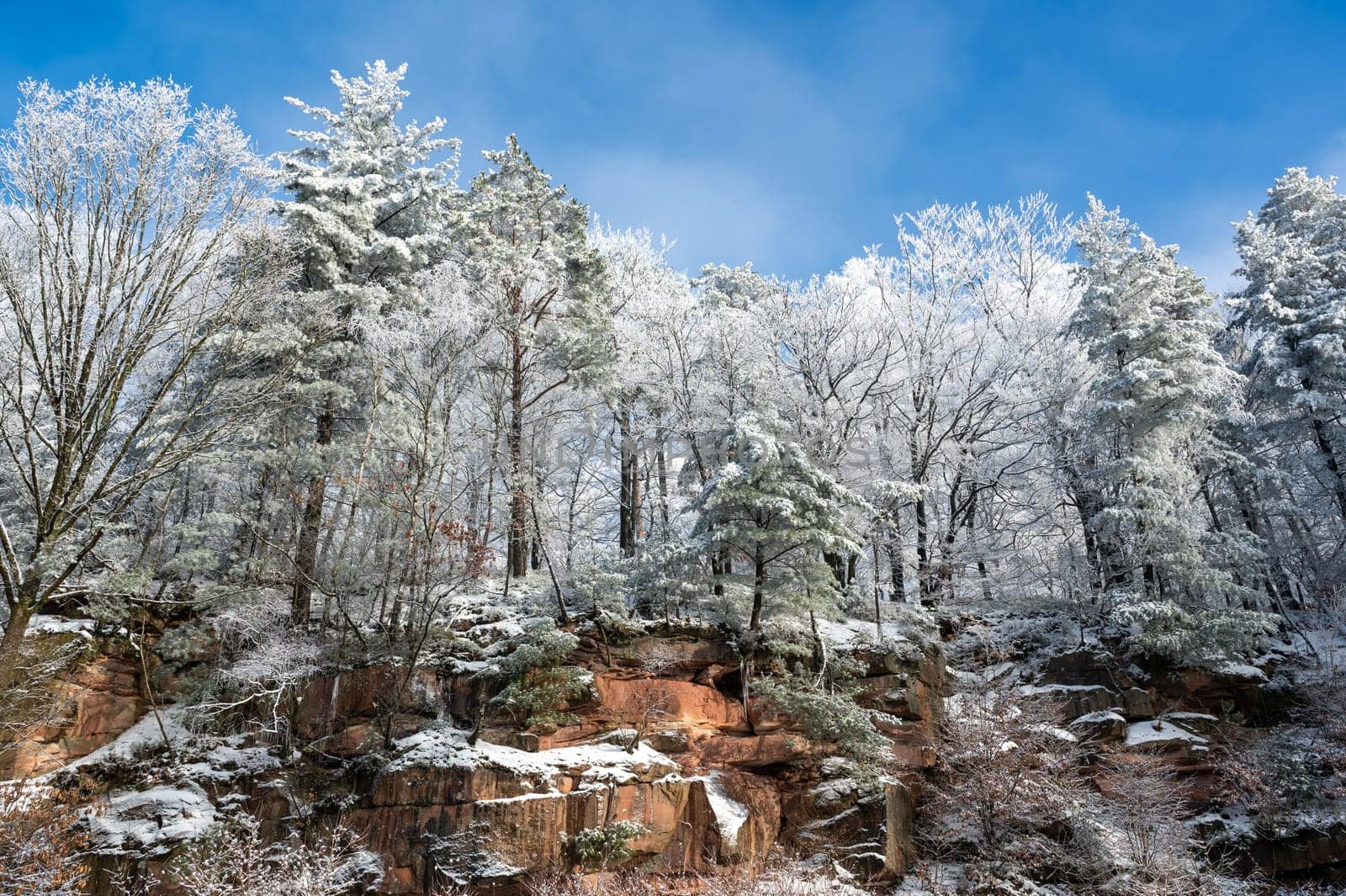 Rock wall with icicles on a cold winter day with lots of snow, blue sky  and snow-covered trees