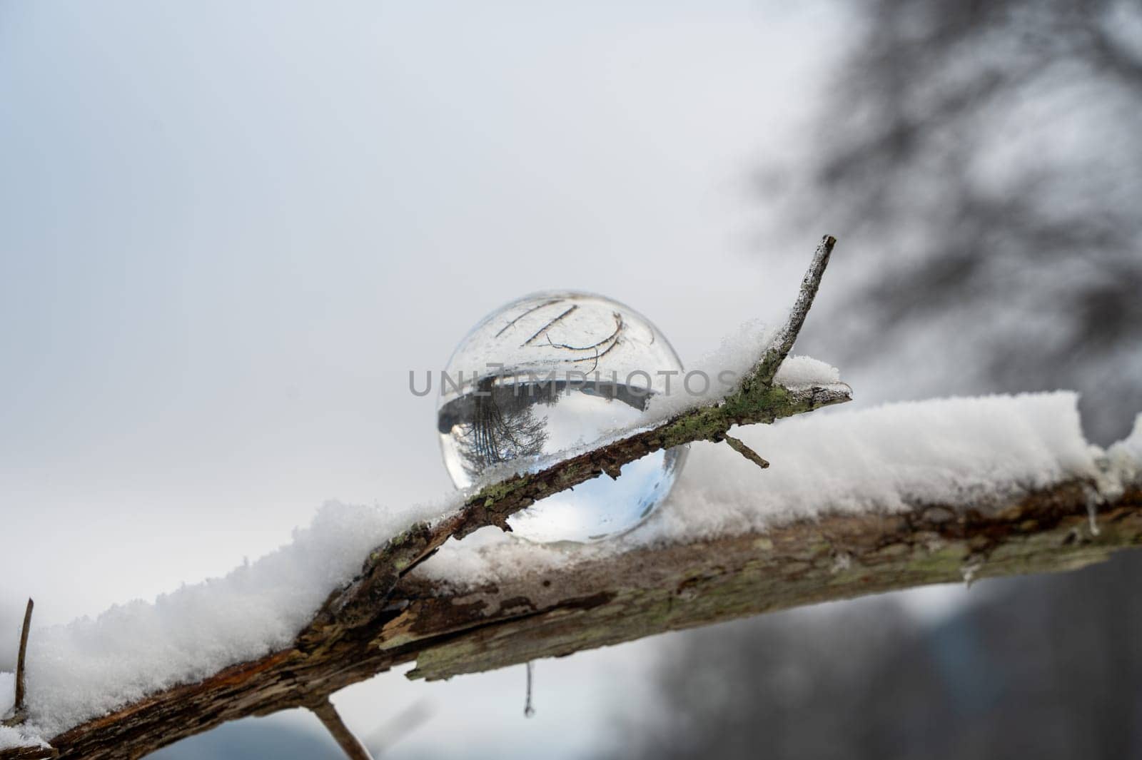 Glass ball on a snow-covered branch on a cold winter day in nature, with reflections of a tree and landscape in the glass