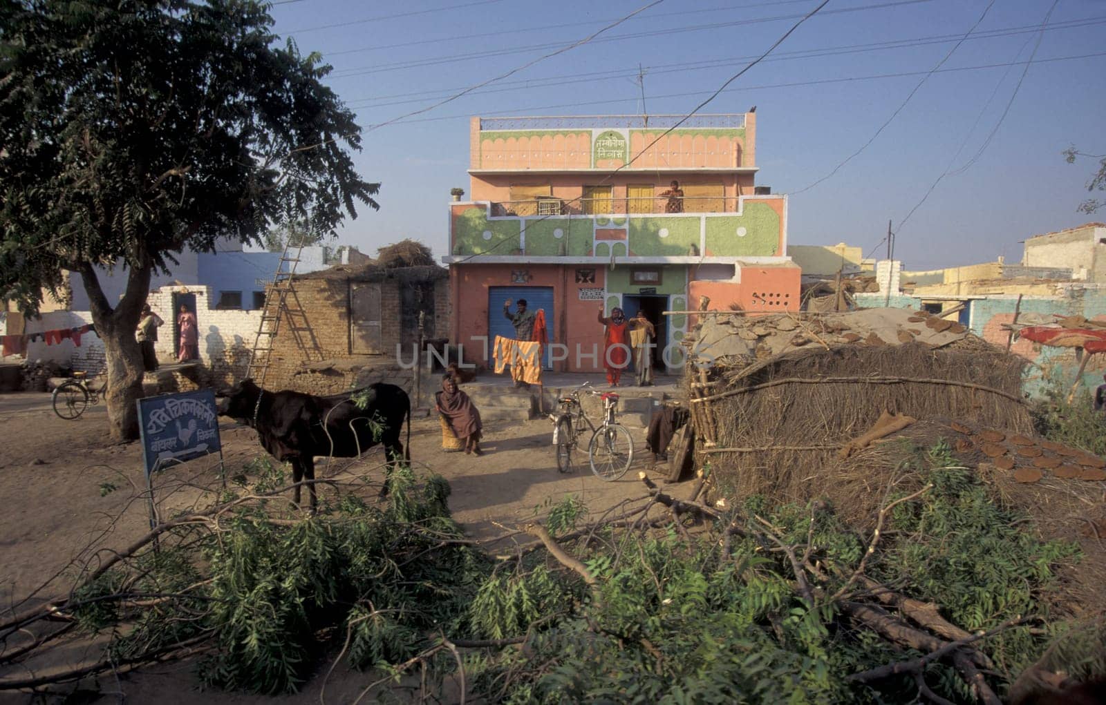 a House in the Town of Udaipur in the Province of Rajasthan in India.  India, Udaipur, January, 1998