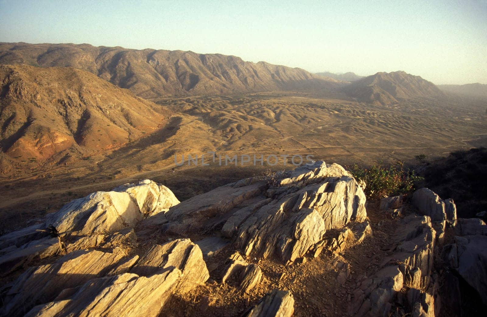 the Landscape of the Desert of Thar near the Town of Jaisalmer in the Province of Rajasthan in India.  India, Jaisalmer, January, 1998