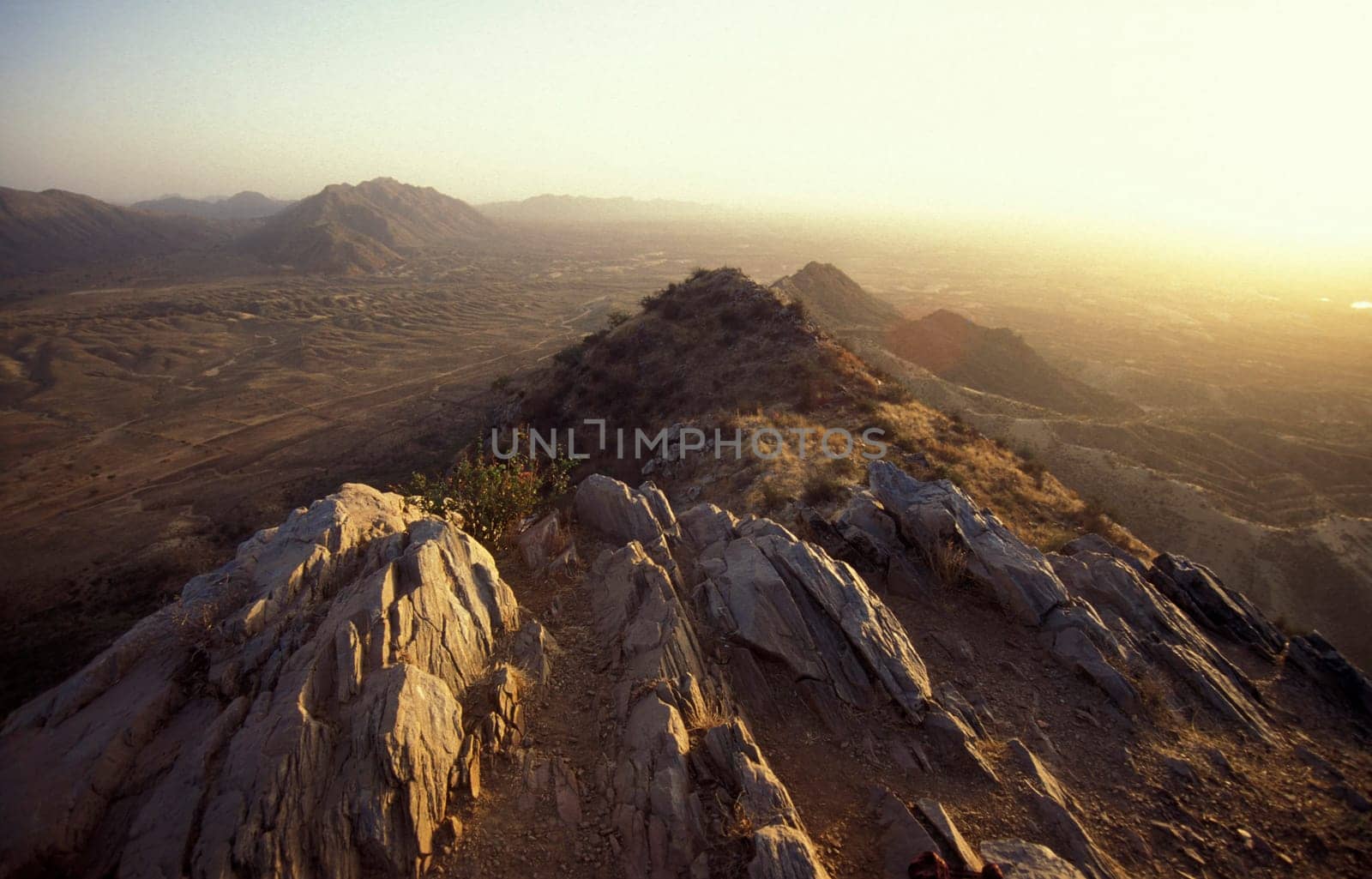the Landscape of the Desert of Thar near the Town of Jaisalmer in the Province of Rajasthan in India.  India, Jaisalmer, January, 1998