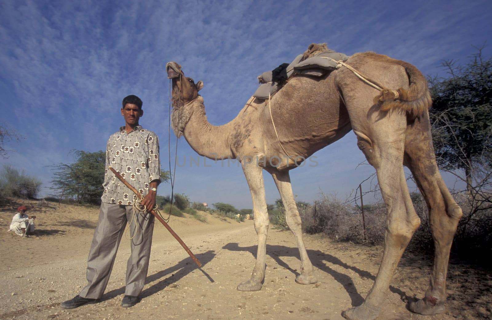 a Farmer with his Camel in the Town of Jaisalmer in the Province of Rajasthan in India.  India, Jaisalmer, January, 1998