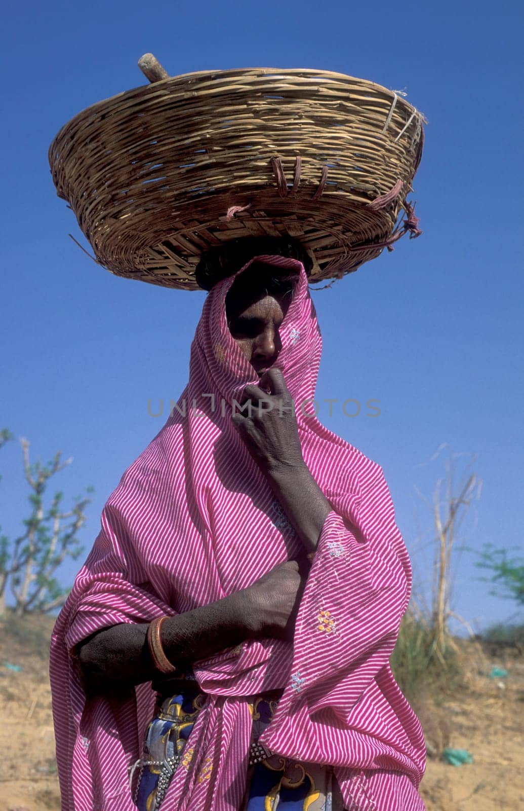 a portrait of a Rajasthani women in the Town of Jaisalmer in the Province of Rajasthan in India.  India, Jaisalmer, January, 1998