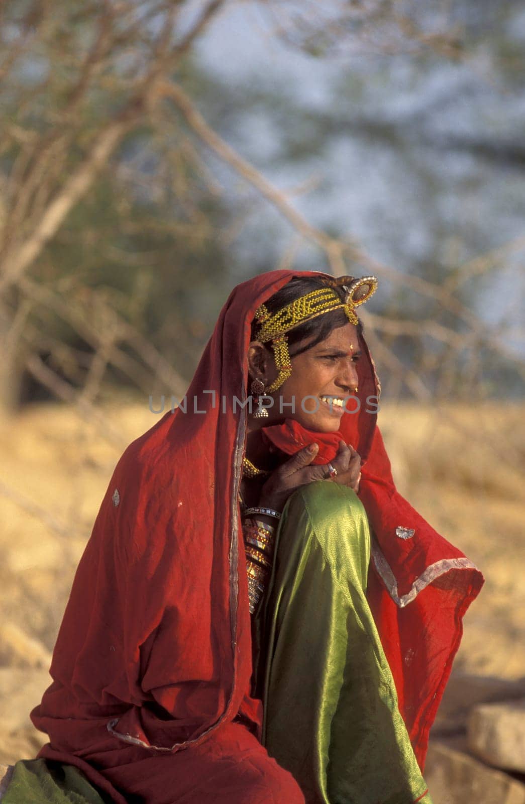 a portrait of a Rajasthani women in the Town of Jaisalmer in the Province of Rajasthan in India.  India, Jaisalmer, January, 1998