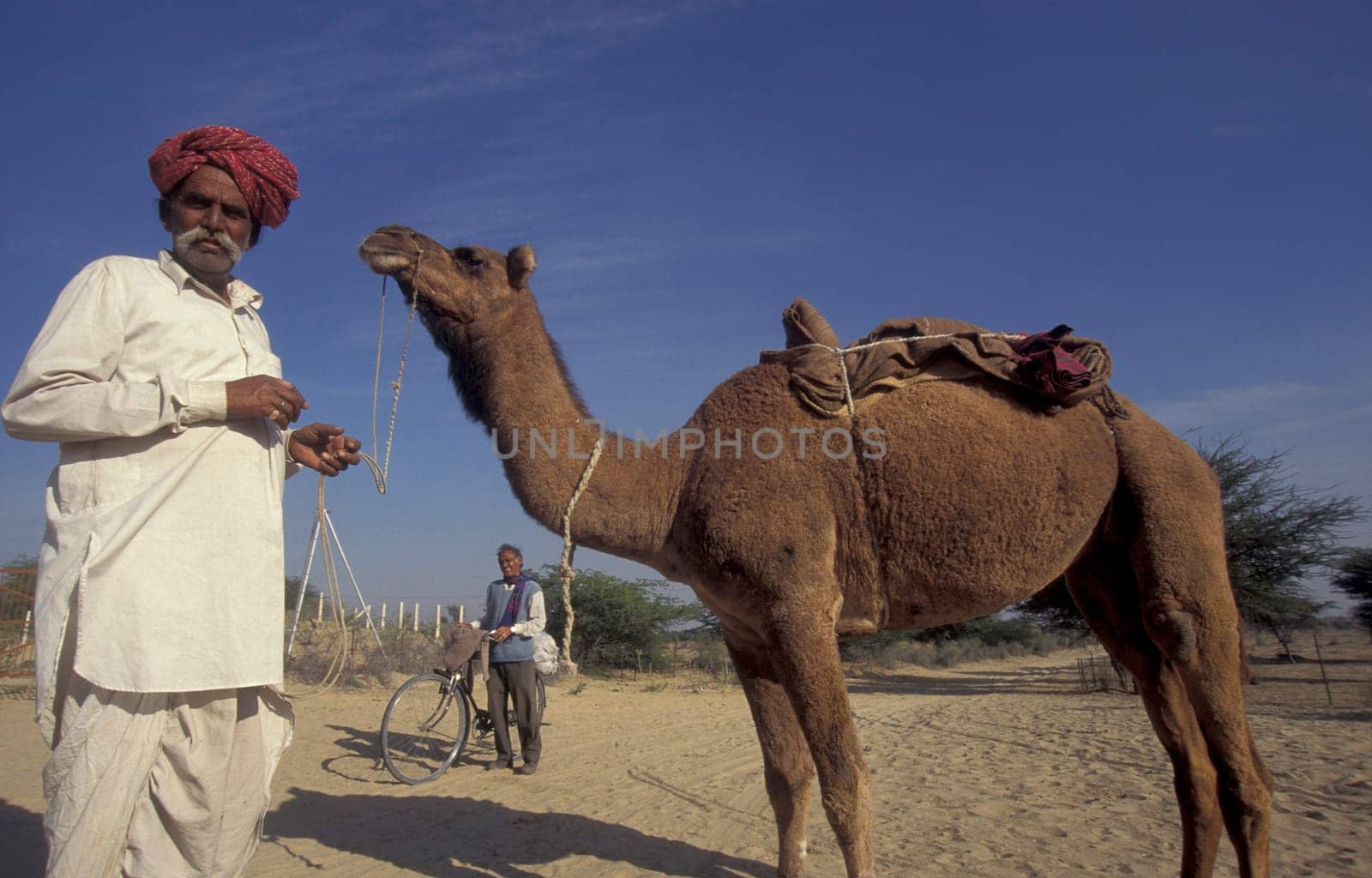 a camel herder at the Bikaner Camel Festival in the Town of Bikaner in the Province of Rajasthan in India.  India, Bikaner, January, 1998
