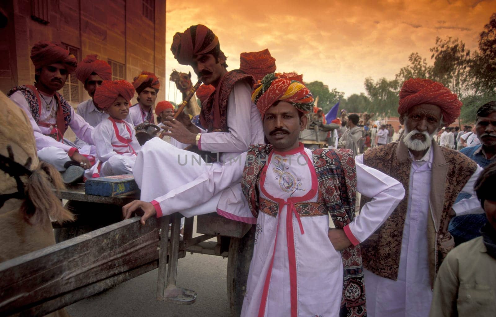 a camel herder in traditional Rajasthani dress at the Bikaner Camel Festival in the Town of Bikaner in the Province of Rajasthan in India.  India, Bikaner, January, 1998