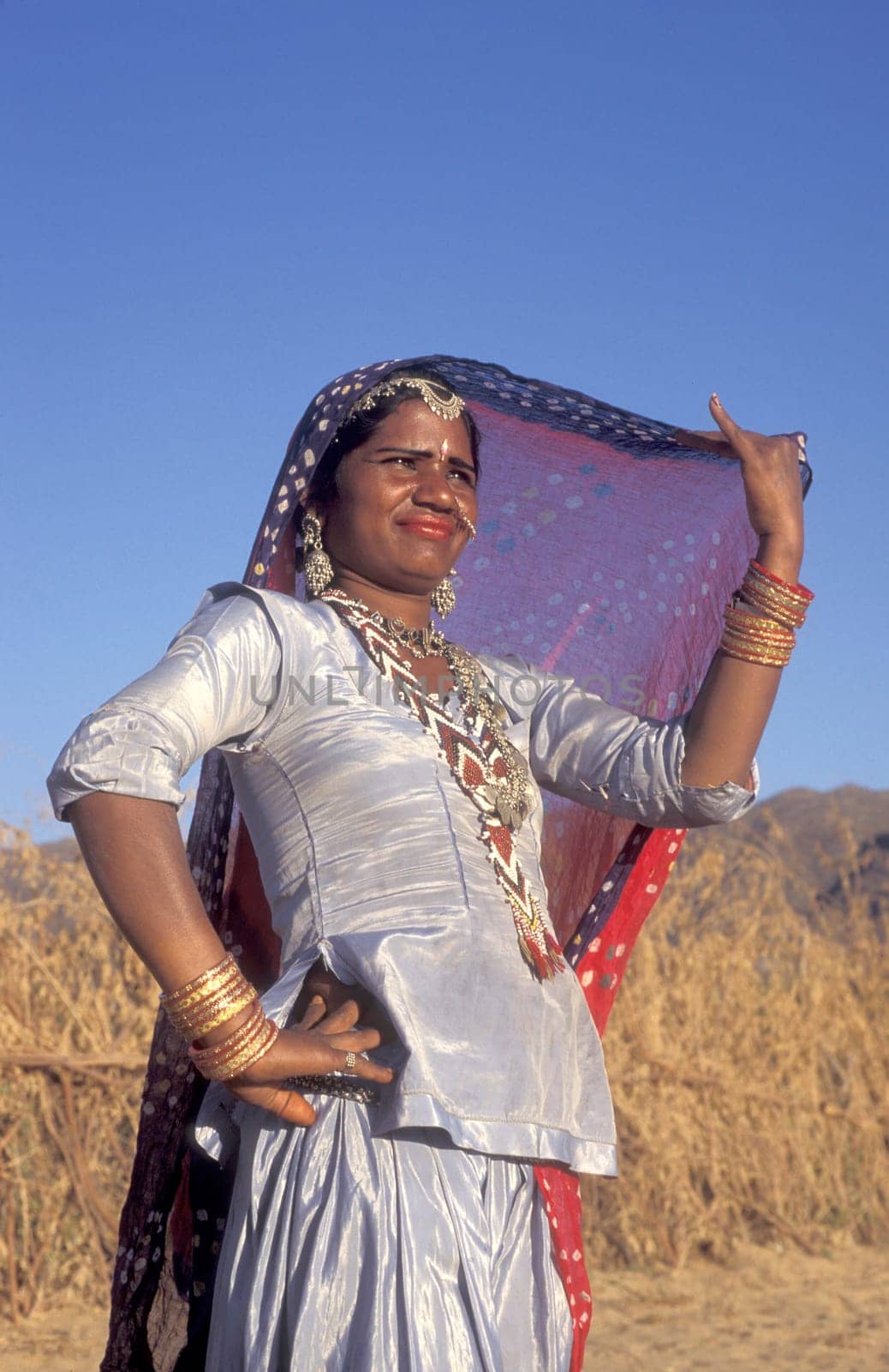 a portrait of a Rajasthani women in the Town of Jaisalmer in the Province of Rajasthan in India.  India, Jaisalmer, January, 1998