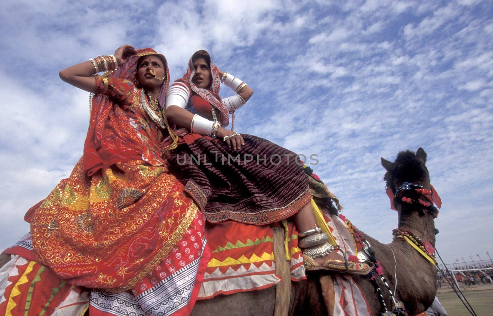 Women in traditional Rajasthani dress on a Camel at the Bikaner Camel Festival in the Town of Bikaner in the Province of Rajasthan in India.  India, Bikaner, January, 1998