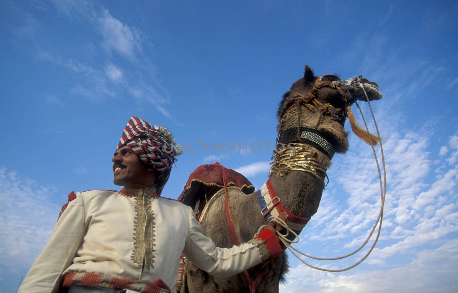 a camel herder in traditional Rajasthani dress at the Bikaner Camel Festival in the Town of Bikaner in the Province of Rajasthan in India.  India, Bikaner, January, 1998