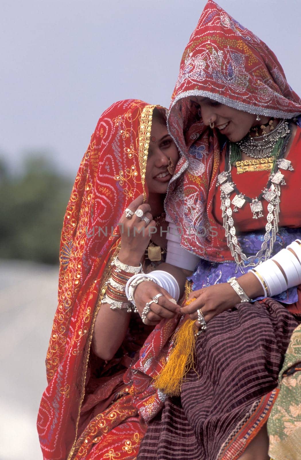 Women in traditional Rajasthani dress on a Camel at the Bikaner Camel Festival in the Town of Bikaner in the Province of Rajasthan in India.  India, Bikaner, January, 1998