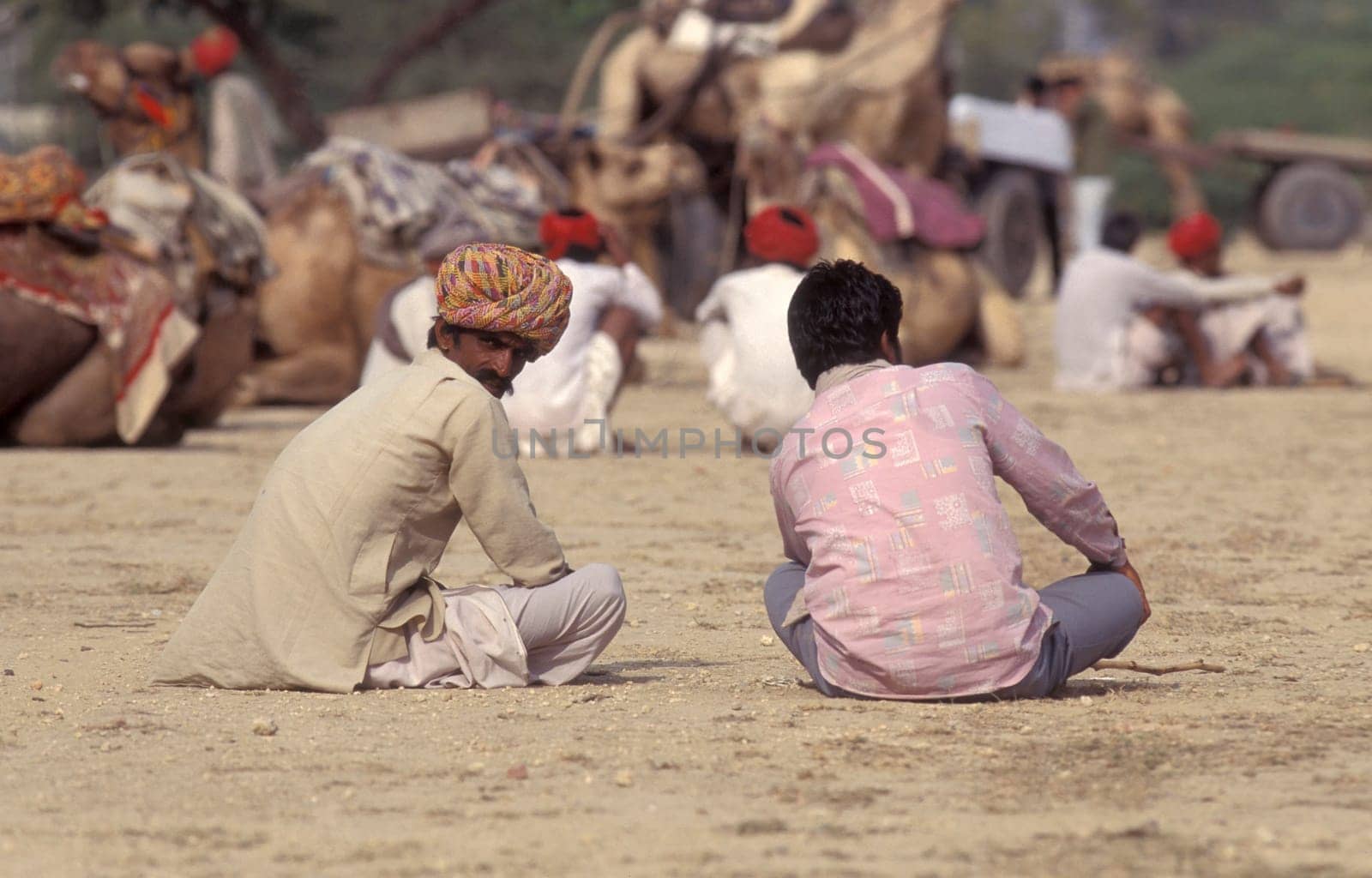 a camel herder at the Bikaner Camel Festival in the Town of Bikaner in the Province of Rajasthan in India.  India, Bikaner, January, 1998