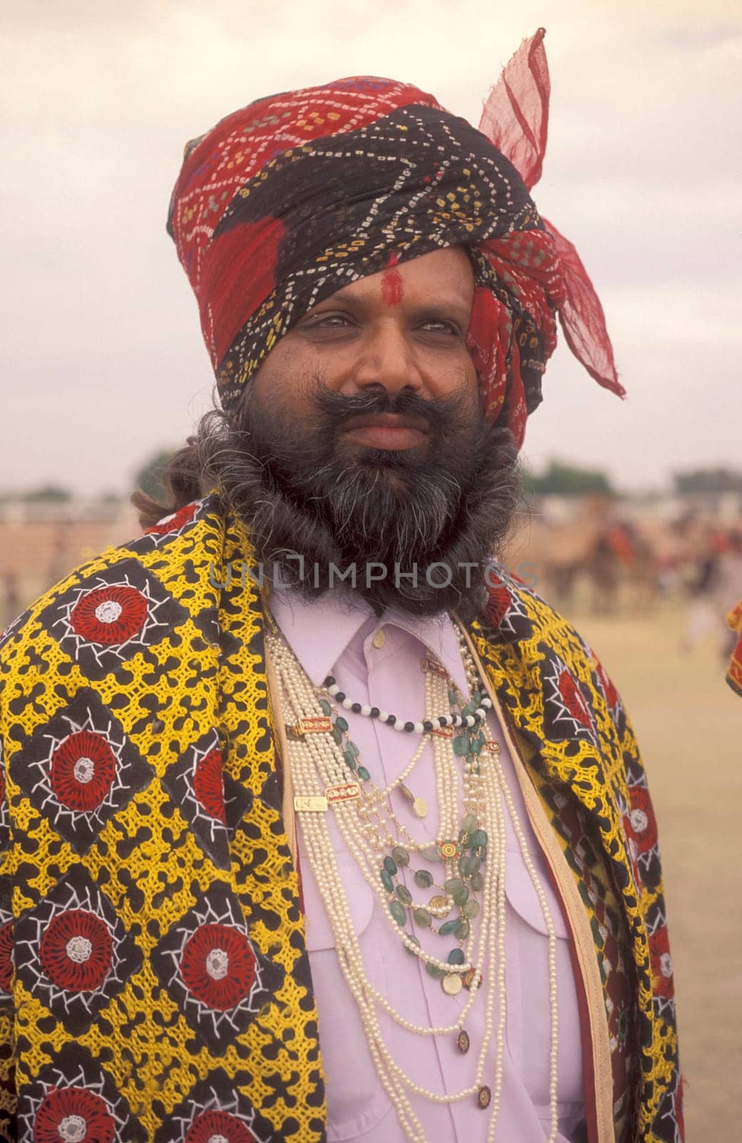 a camel herder in traditional Rajasthani dress at the Bikaner Camel Festival in the Town of Bikaner in the Province of Rajasthan in India.  India, Bikaner, January, 1998
