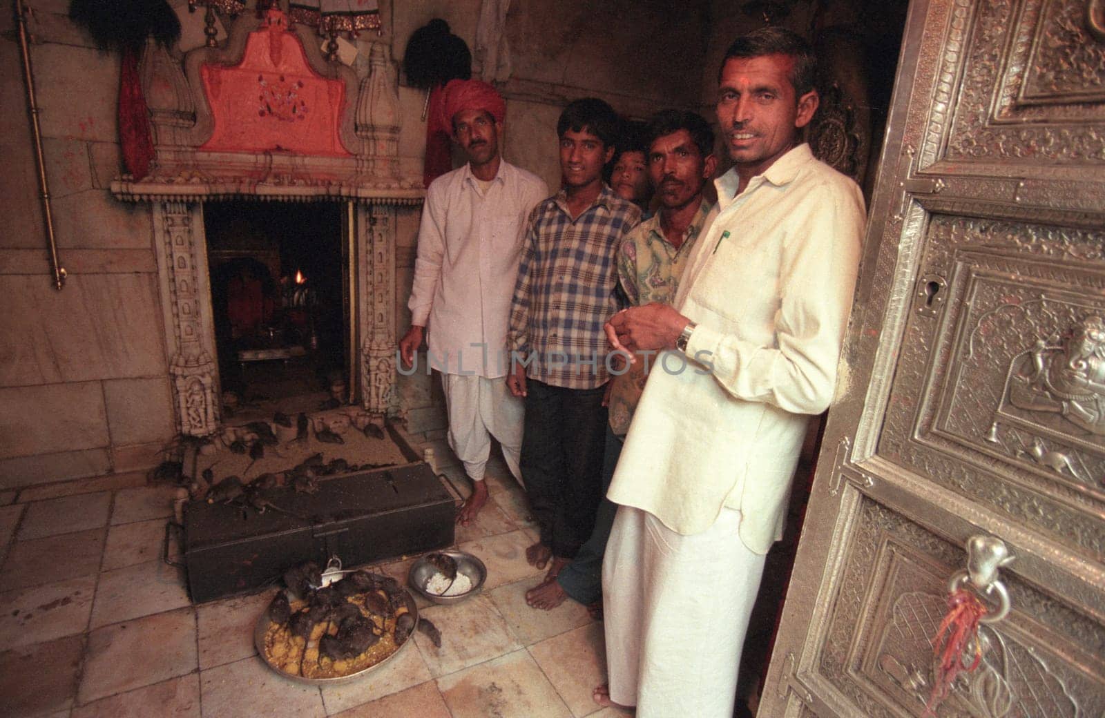 Inside of the Karni Mata Rat Temple in the Town of Deshnoke in the Province of Rajasthan in India.  India, Bikaner, January, 1998