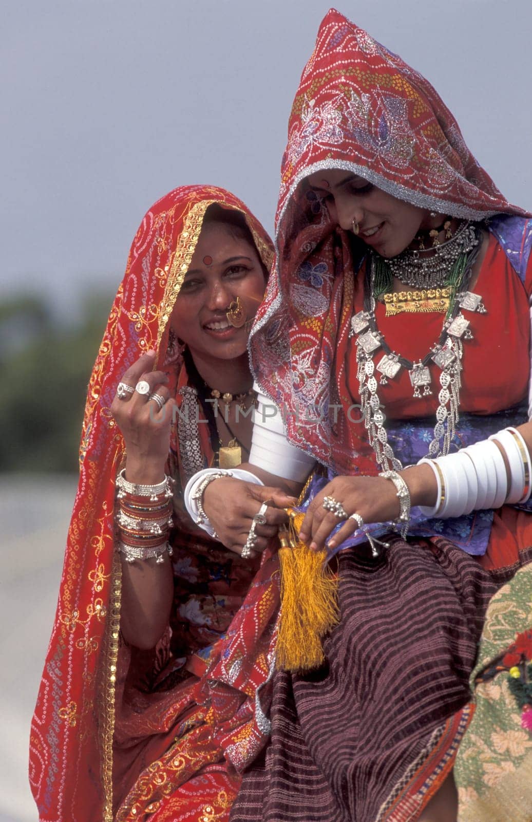 Women in traditional Rajasthani dress on a Camel at the Bikaner Camel Festival in the Town of Bikaner in the Province of Rajasthan in India.  India, Bikaner, January, 1998