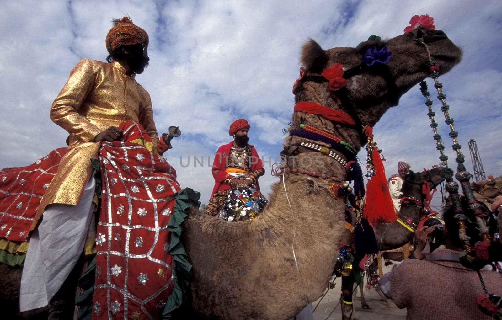 a camel herder in traditional Rajasthani dress at the Bikaner Camel Festival in the Town of Bikaner in the Province of Rajasthan in India.  India, Bikaner, January, 1998