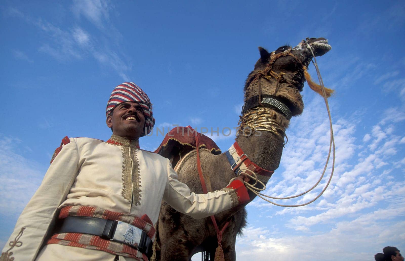 a camel herder in traditional Rajasthani dress at the Bikaner Camel Festival in the Town of Bikaner in the Province of Rajasthan in India.  India, Bikaner, January, 1998