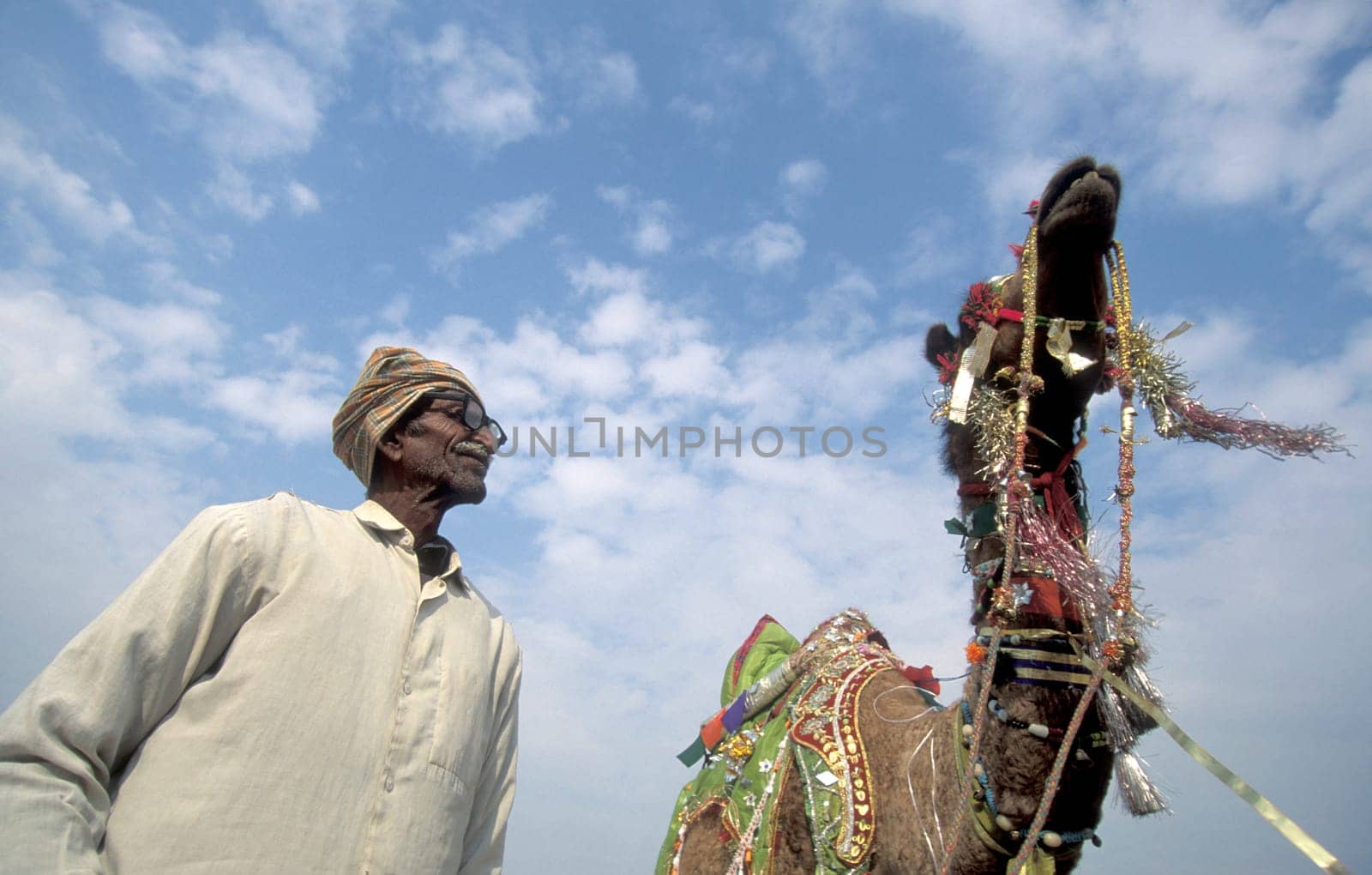 a camel herder at the Bikaner Camel Festival in the Town of Bikaner in the Province of Rajasthan in India.  India, Bikaner, January, 1998