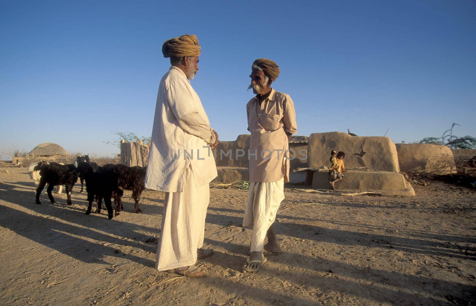 Old Rajasthani Men in a small Village near the Town of Bikaner in the Province of Rajasthan in India.  India, Bikaner, January, 1998