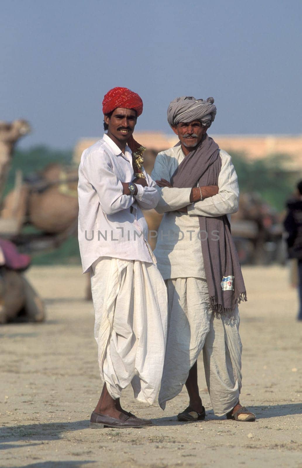 a camel herder at the Bikaner Camel Festival in the Town of Bikaner in the Province of Rajasthan in India.  India, Bikaner, January, 1998