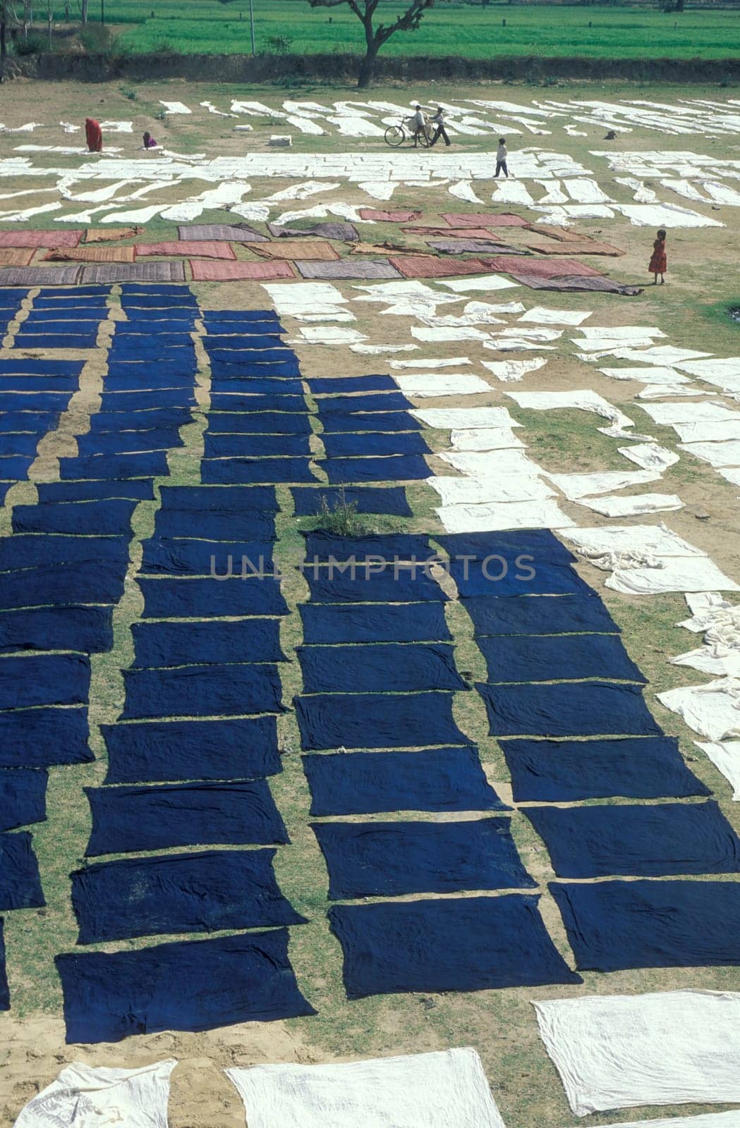 Working People in a textile coloring and dryeing Factory in the City of Jaipur in the Province of Rajasthan in India.  India, Jaipur, January, 1998