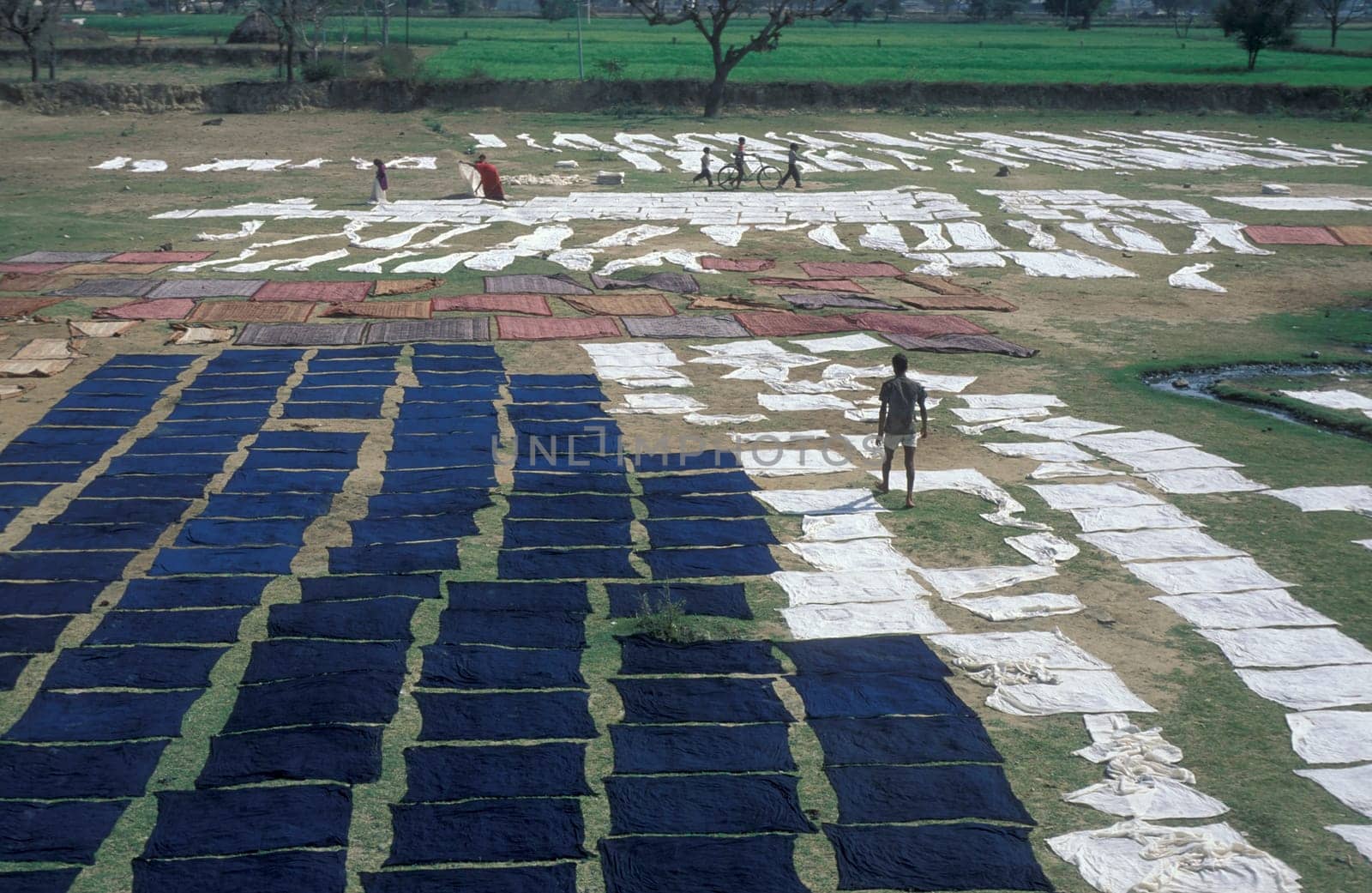 Working People in a textile coloring and dryeing Factory in the City of Jaipur in the Province of Rajasthan in India.  India, Jaipur, January, 1998