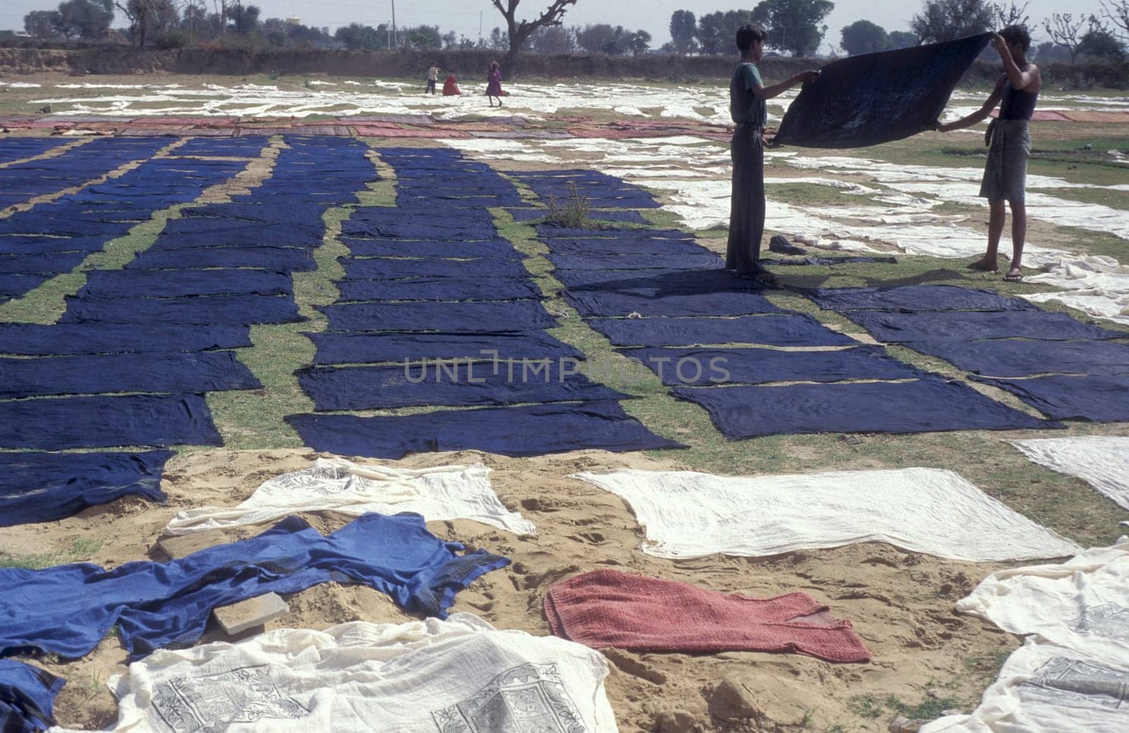Working People in a textile coloring and dryeing Factory in the City of Jaipur in the Province of Rajasthan in India.  India, Jaipur, January, 1998