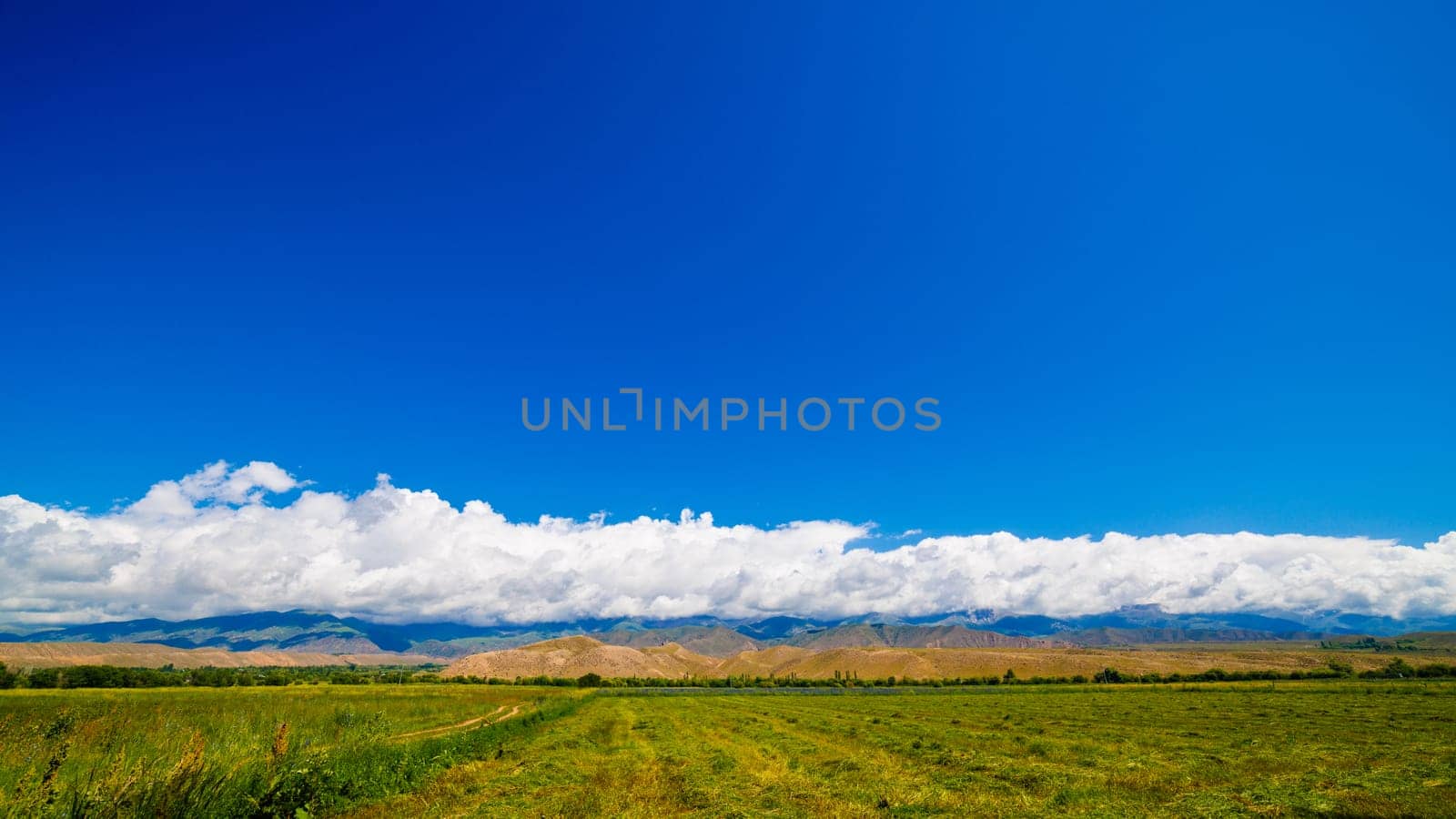 Green agricultural field with mountain range under a white clouds and blue sky above.