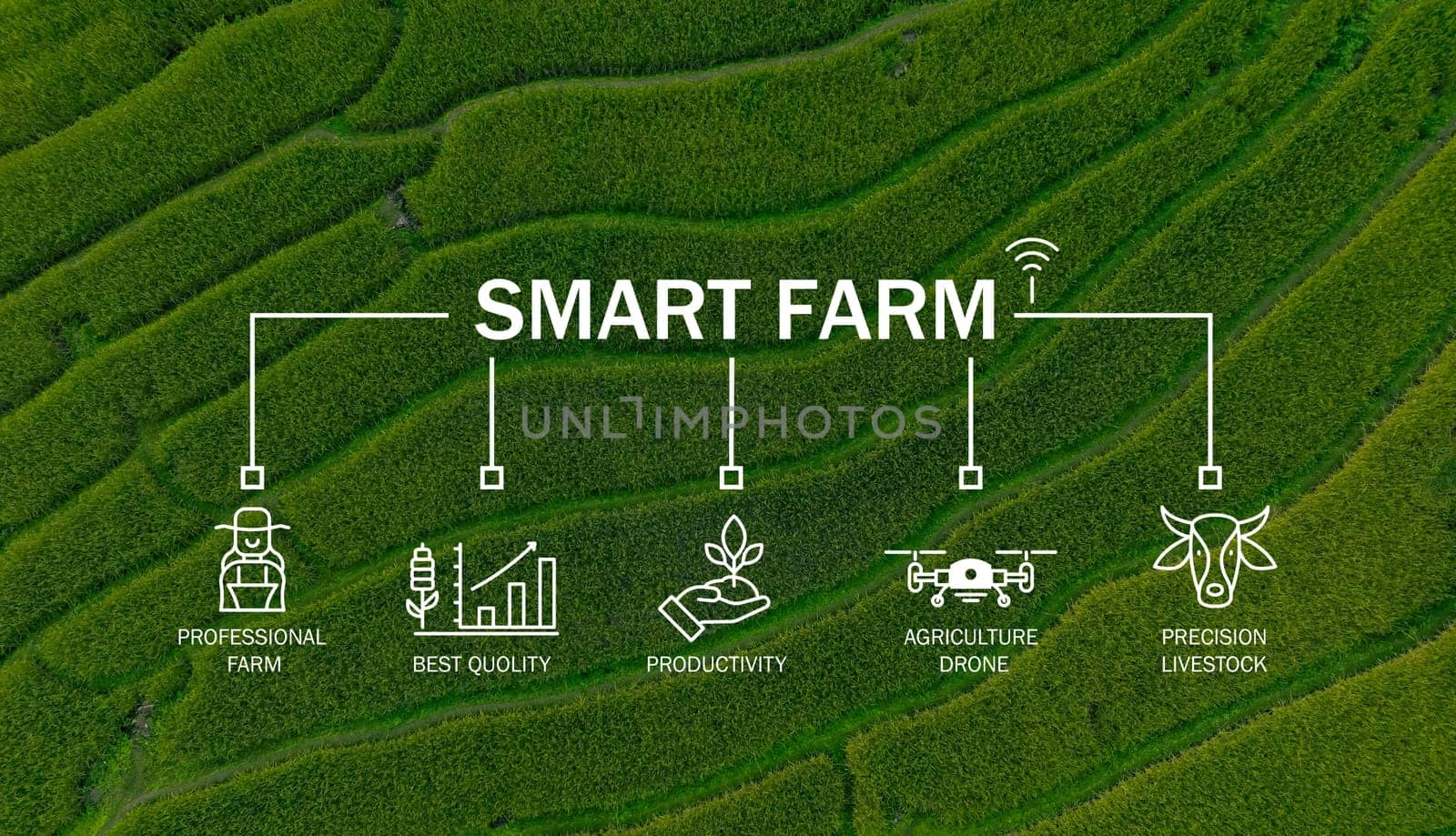 Smart farm technology meets agricultural expertise. Precision livestock management and agriculture drones enhance productivity. Modern farming practices. Innovation in sustainable agriculture.