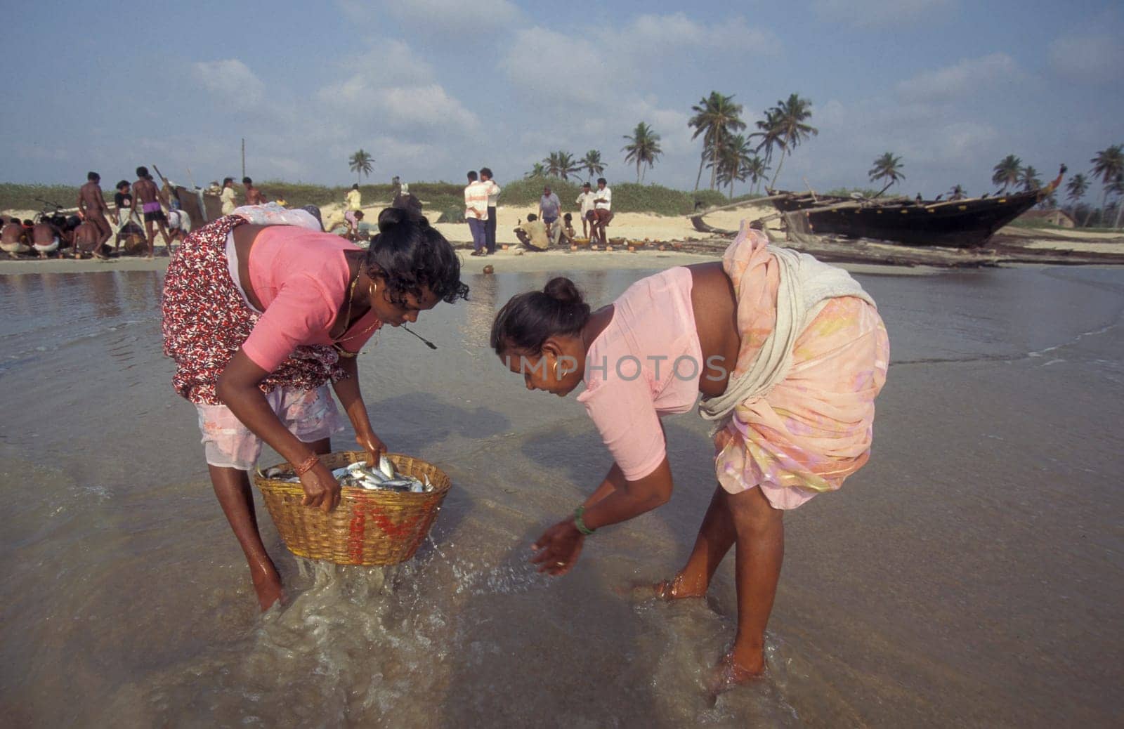 Fishing people sort out the fresh Fish and sale it at a Beach of a Fishing Village on the Coast at the Town of Colva in the Province of Goa in India,  India, Goa, April, 1996