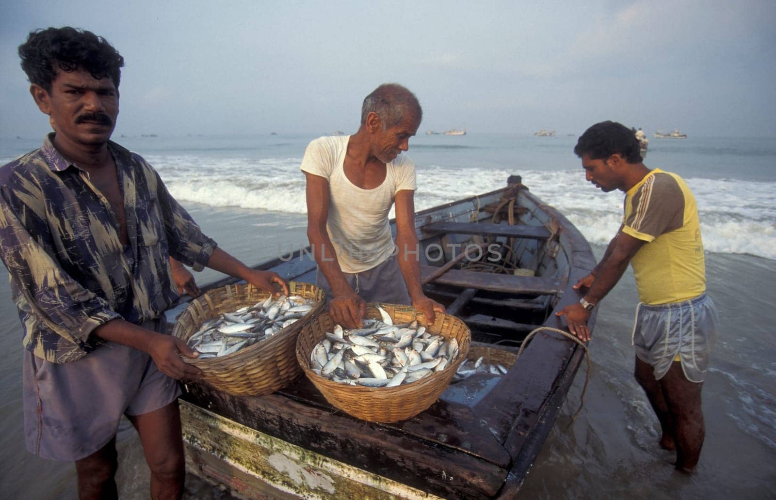 Fishing people sort out the fresh Fish and sale it at a Beach of a Fishing Village on the Coast at the Town of Colva in the Province of Goa in India,  India, Goa, April, 1996