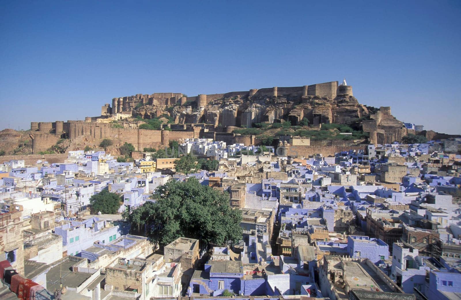 a view of the Meherangarh in the Town and Blue City of Jodhpur in the Province of Rajasthan in India.  India, Jodhpur, January, 1998