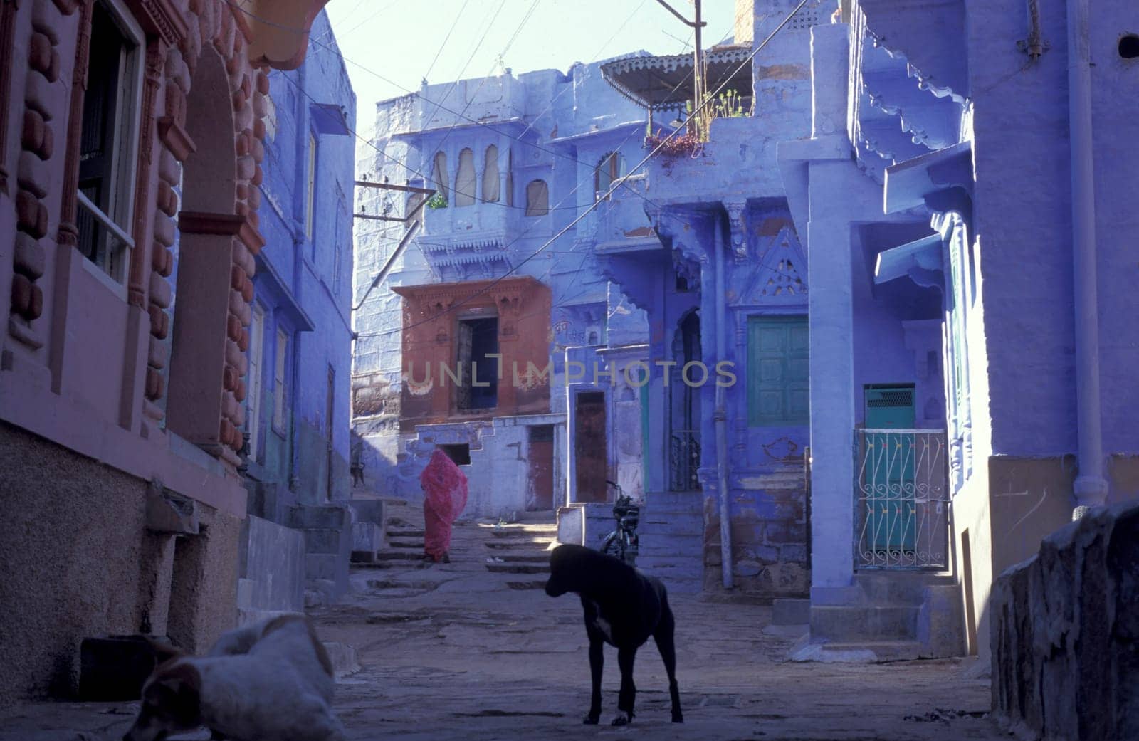 a blue painted living House in the Blue City and Town of Jodhpur in the Province of Rajasthan in India.  India, Jodhpur, January, 1998