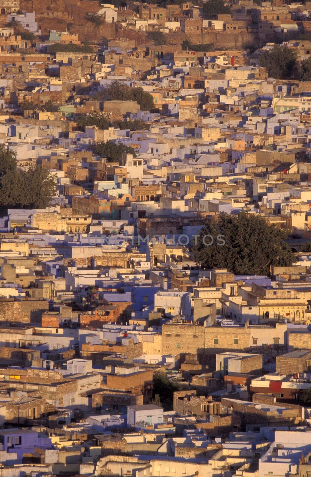 a view with living Houses in the Blue City and Town of Jodhpur in the Province of Rajasthan in India.  India, Jodhpur, January, 1998