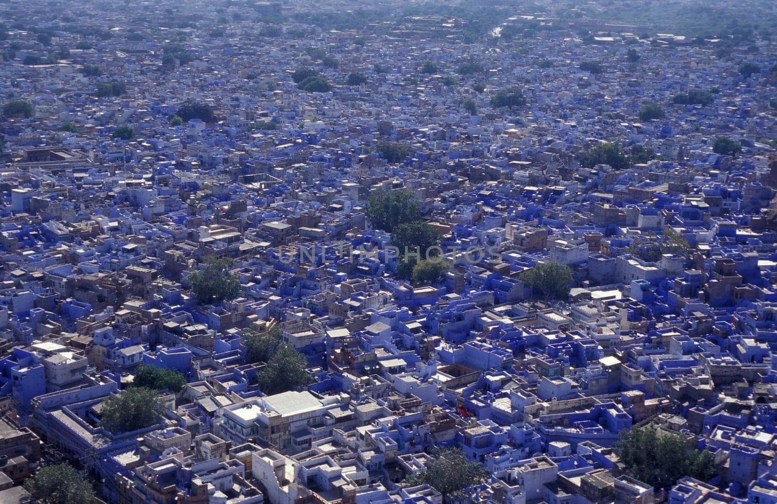 a view with living Houses in the Blue City and Town of Jodhpur in the Province of Rajasthan in India.  India, Jodhpur, January, 1998
