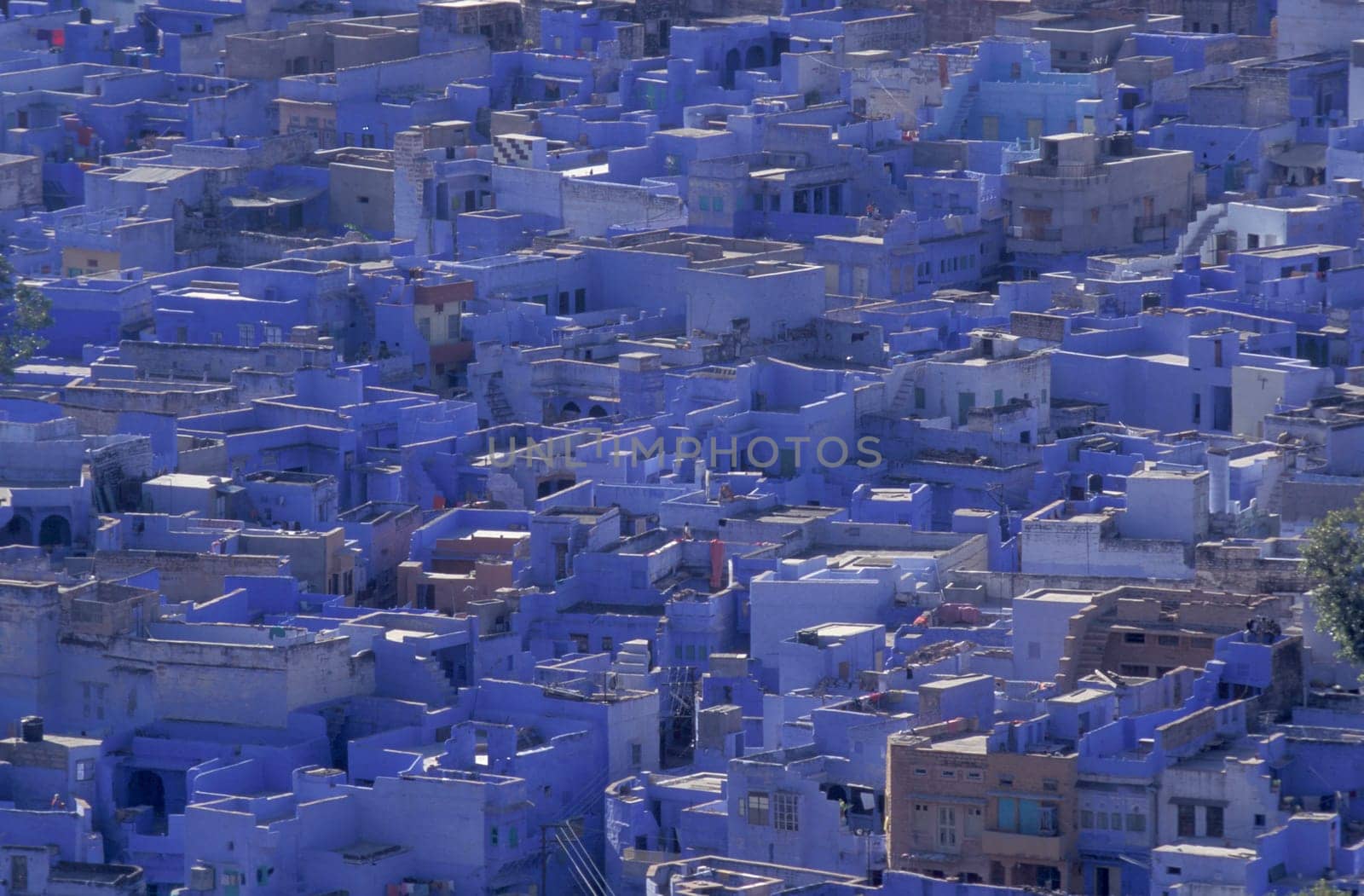 a view with living Houses in the Blue City and Town of Jodhpur in the Province of Rajasthan in India.  India, Jodhpur, January, 1998