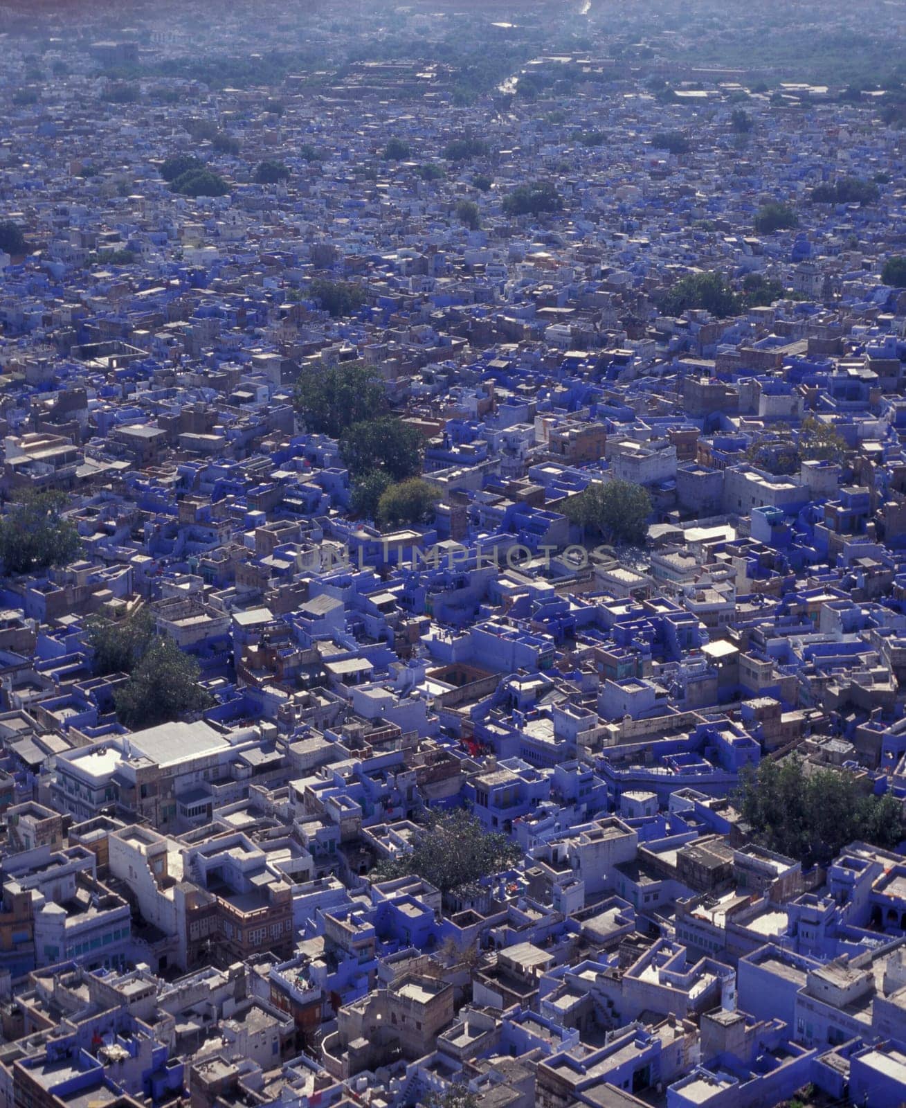a view with living Houses in the Blue City and Town of Jodhpur in the Province of Rajasthan in India.  India, Jodhpur, January, 1998