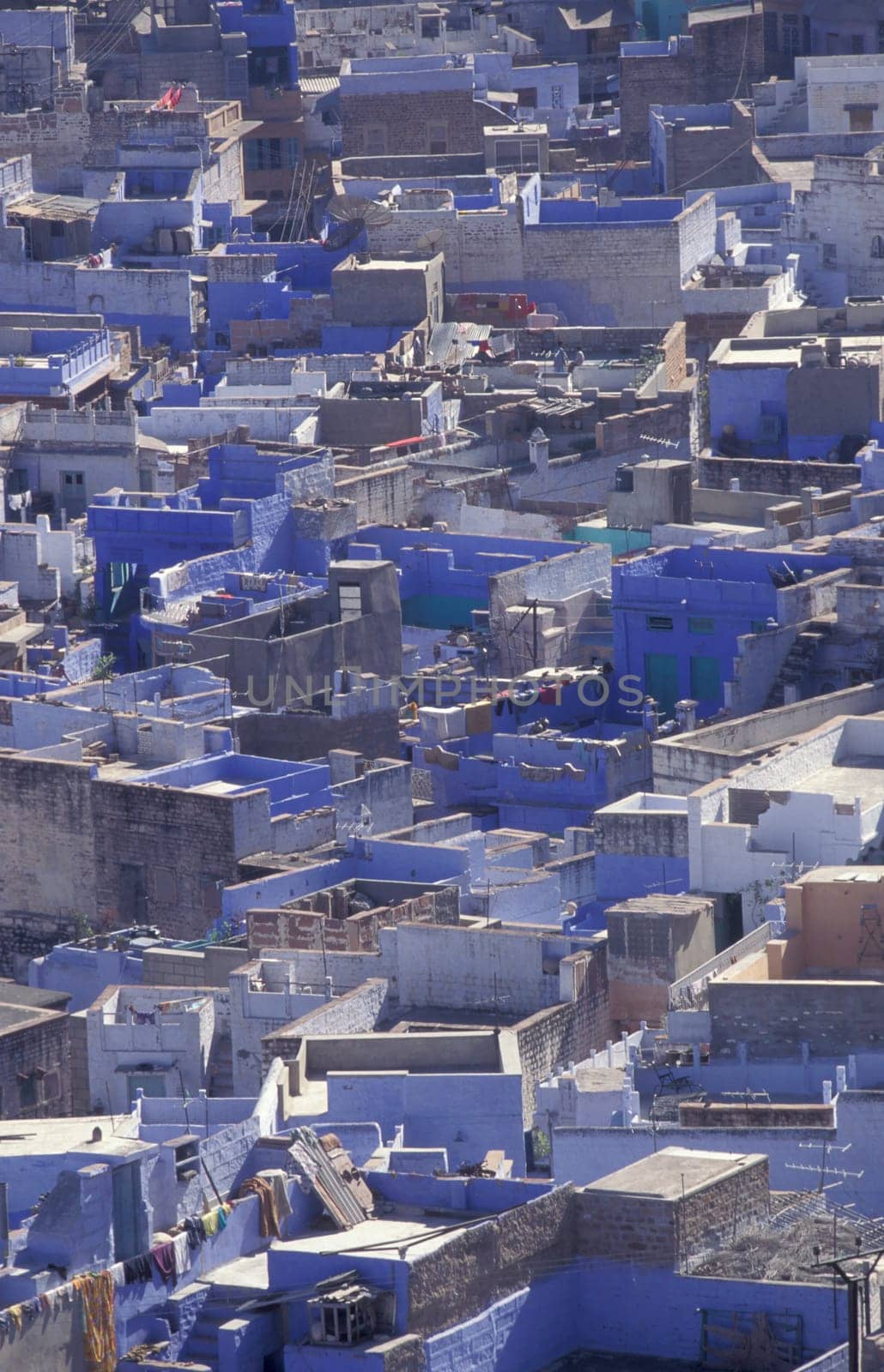 a view with living Houses in the Blue City and Town of Jodhpur in the Province of Rajasthan in India.  India, Jodhpur, January, 1998