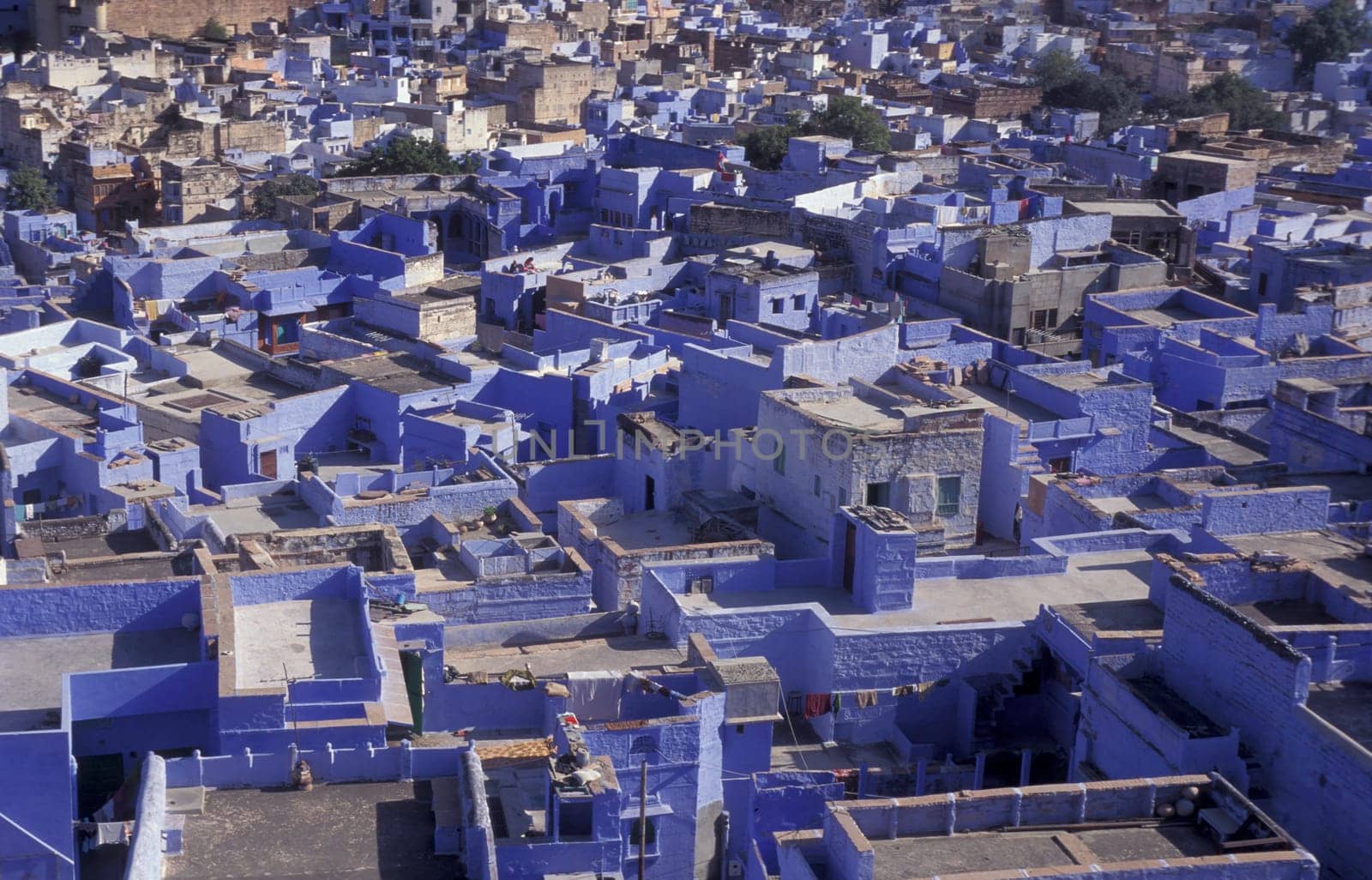 a view with living Houses in the Blue City and Town of Jodhpur in the Province of Rajasthan in India.  India, Jodhpur, January, 1998