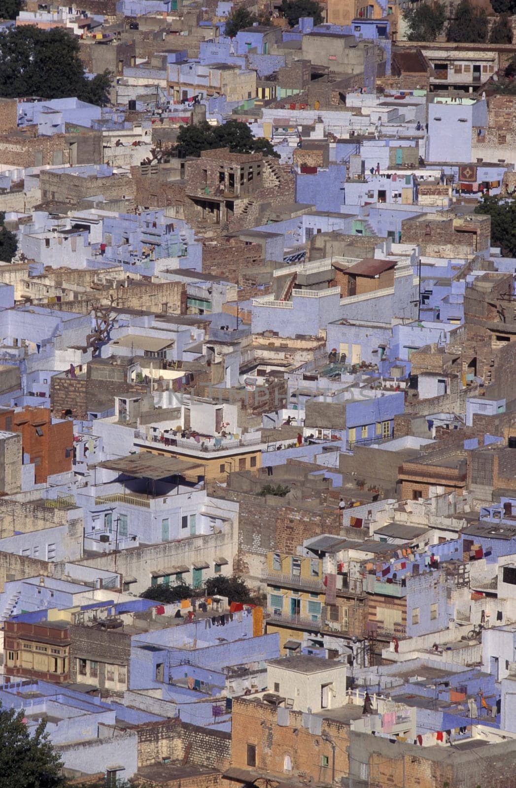 a view with living Houses in the Blue City and Town of Jodhpur in the Province of Rajasthan in India.  India, Jodhpur, January, 1998