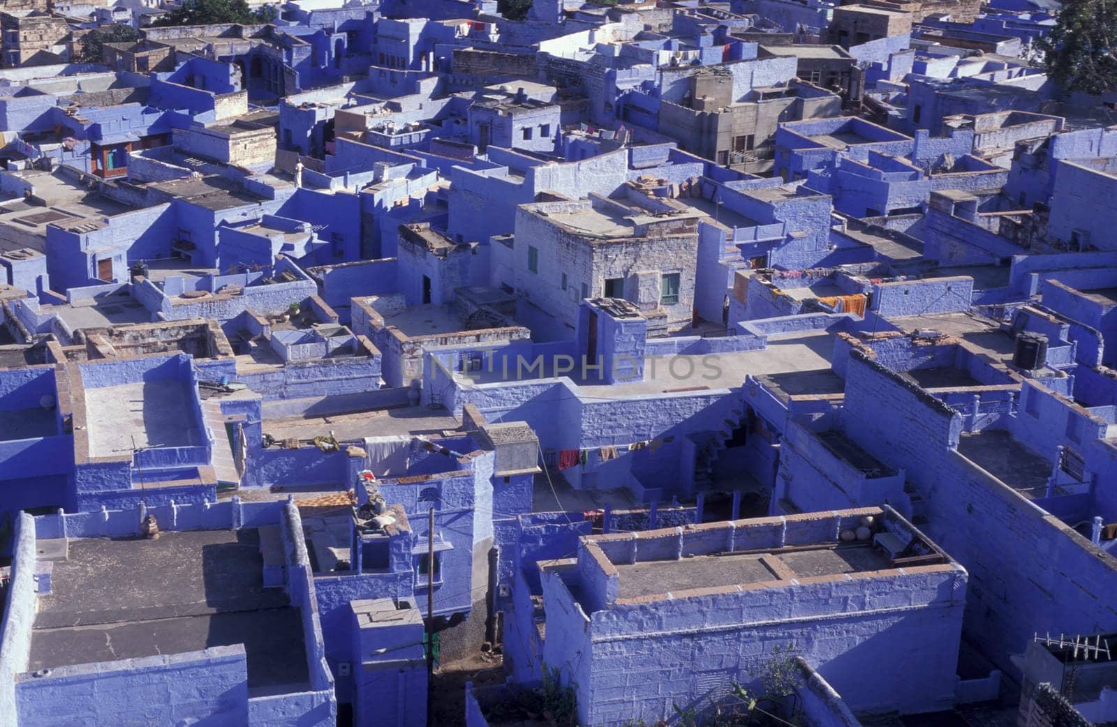 a view with living Houses in the Blue City and Town of Jodhpur in the Province of Rajasthan in India.  India, Jodhpur, January, 1998
