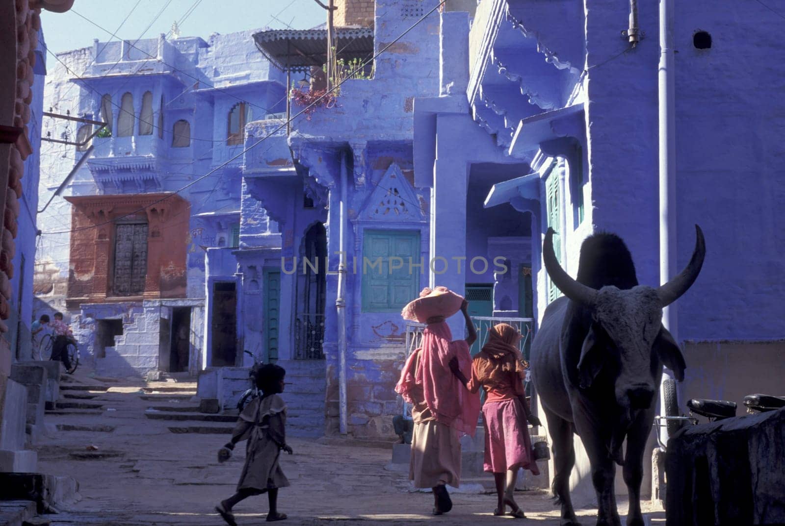 a blue painted living House in the Blue City and Town of Jodhpur in the Province of Rajasthan in India.  India, Jodhpur, January, 1998