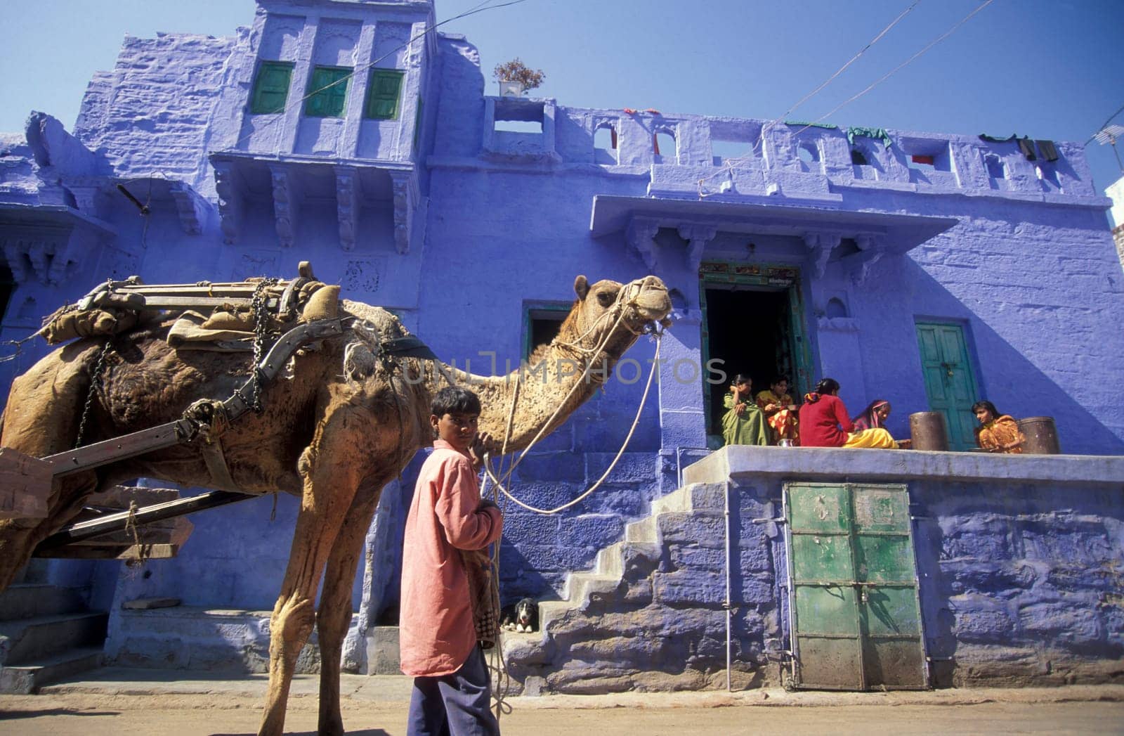 a Camel in front of a blue painted living House in the Blue City and Town of Jodhpur in the Province of Rajasthan in India.  India, Jodhpur, January, 1998